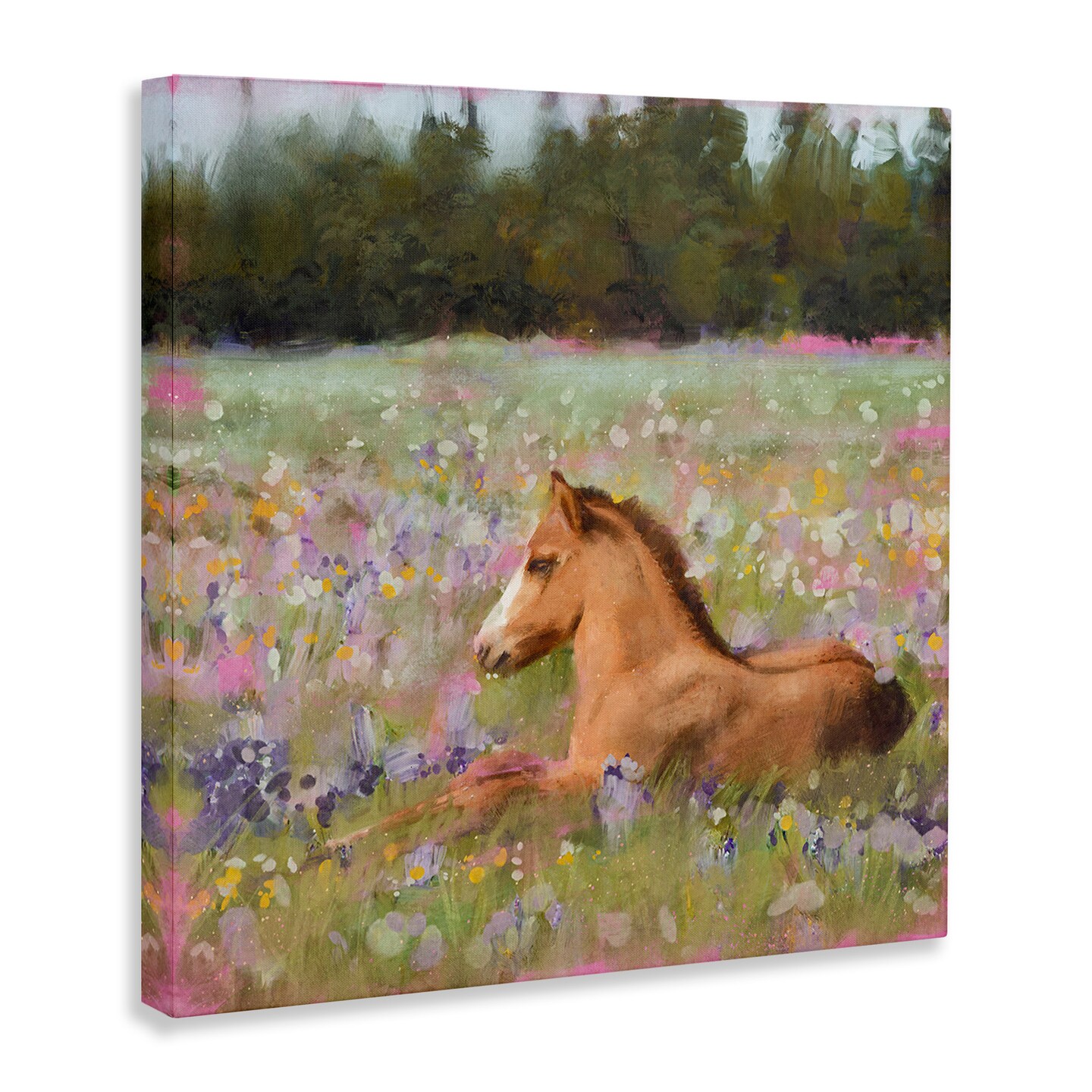 Stupell Industries Foal Horse Lounging Flower Meadow Canvas Wall Art