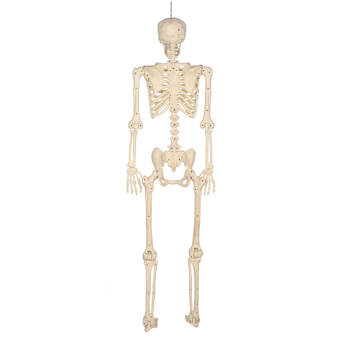 BOO BOX 5&#x27; Animated Full Size Skeleton, Halloween Decorations for Outside, Porch or Yard with Light-up Eyes and Speaker