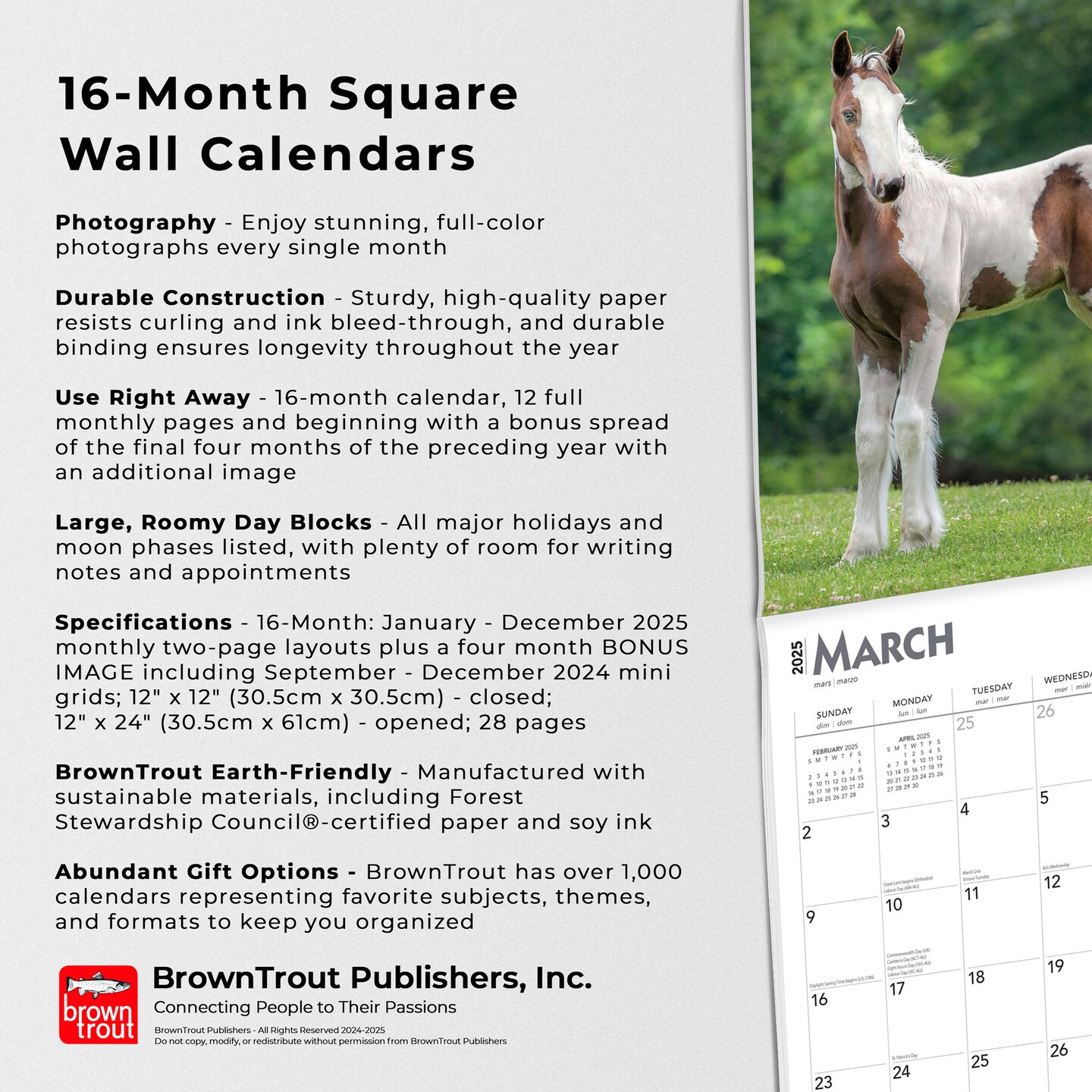Colts and Fillies | 2025 12 x 24 Inch Monthly Square Wall Calendar | BrownTrout | Animals Equestrian