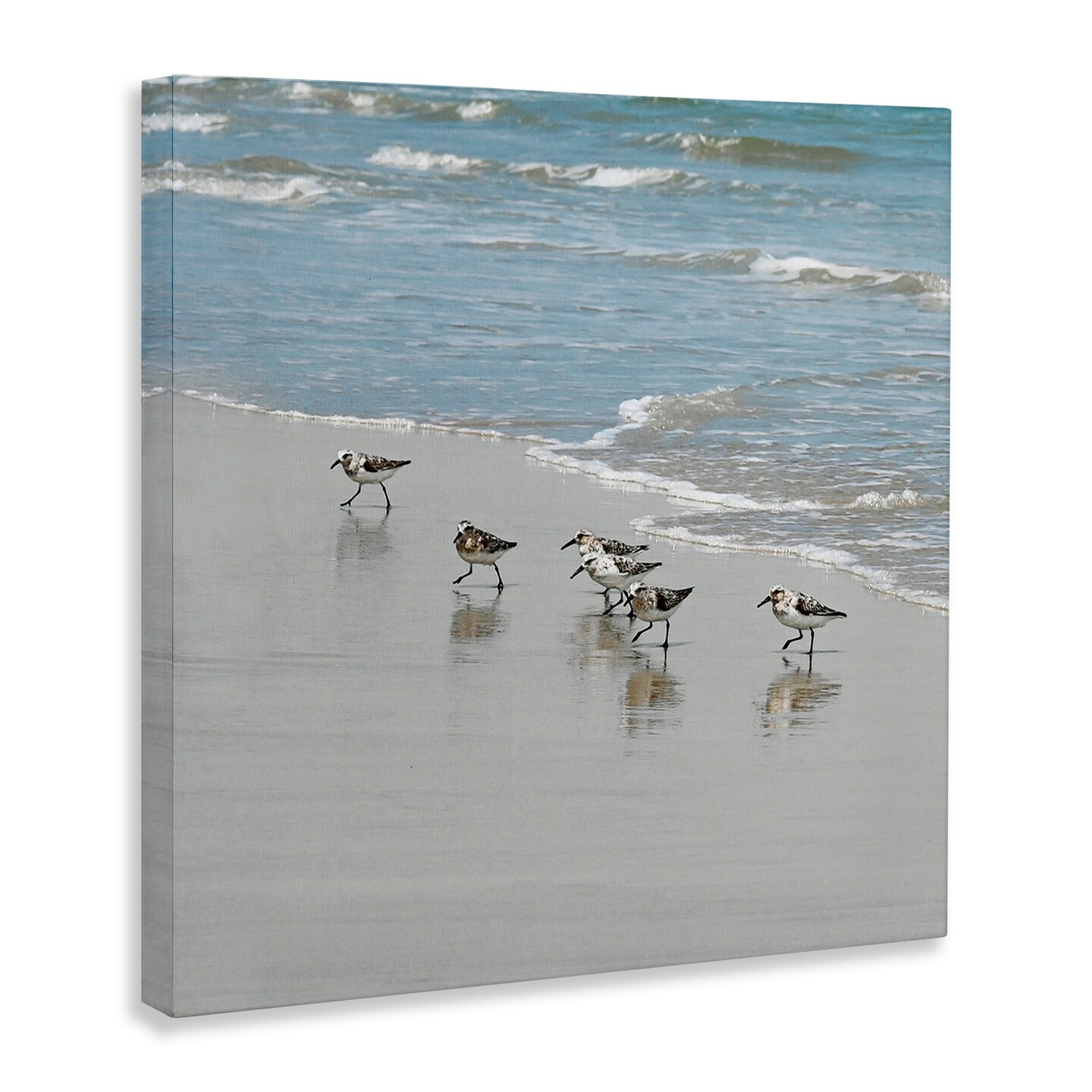 Stupell Industries Sandpipers on Shore Reflection Canvas Wall Art