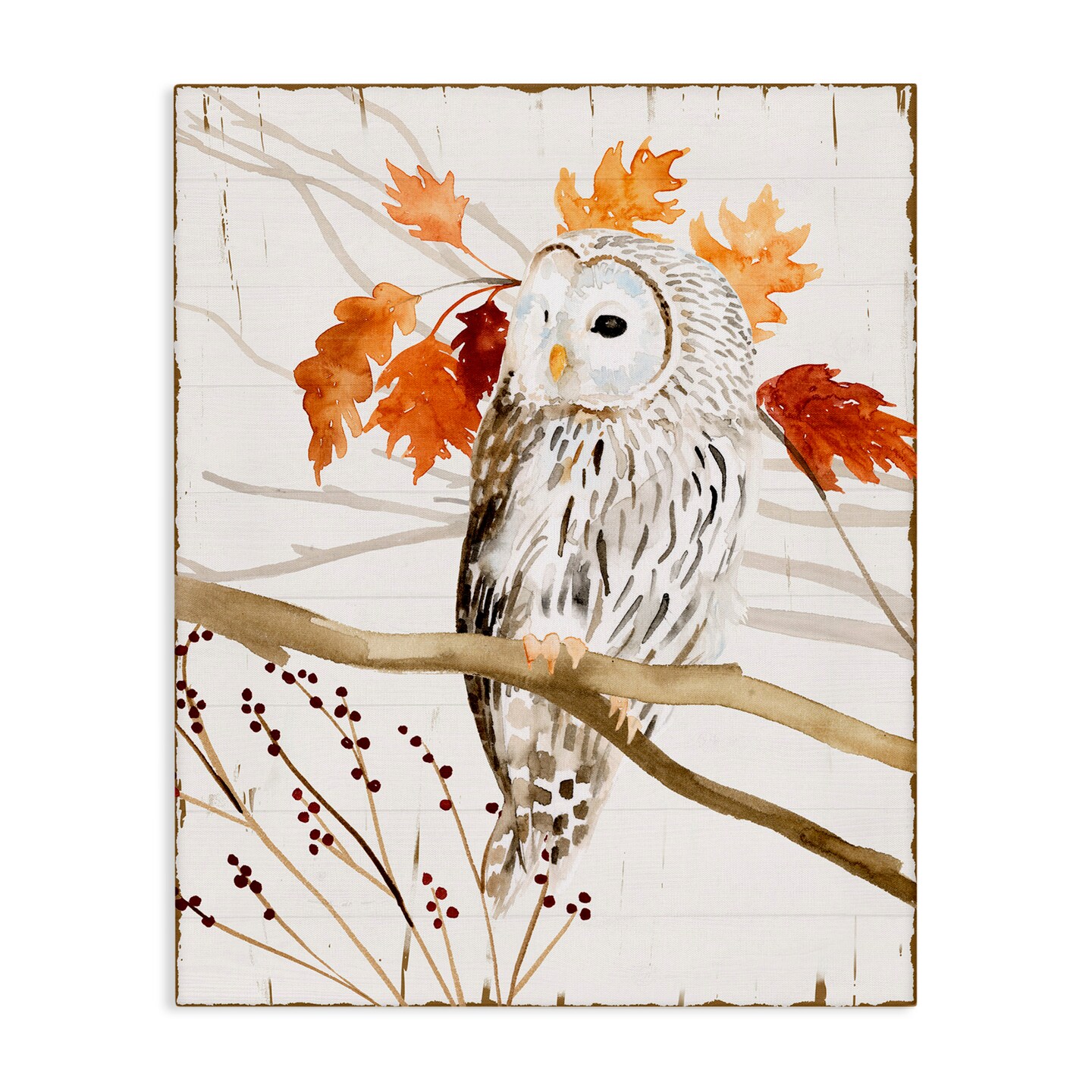 Stupell Industries Owl In Autumnal Forest Canvas Wall Art