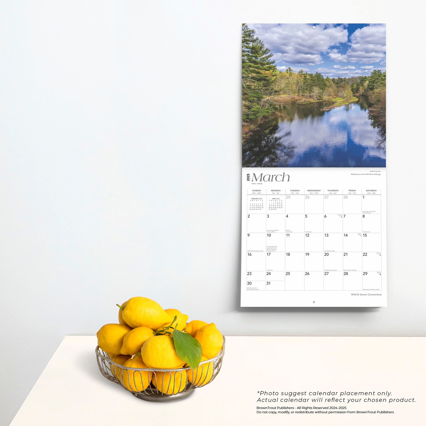 Connecticut Wild &#x26; Scenic | 2025 12 x 24 Inch Monthly Square Wall Calendar | Plastic-Free | BrownTrout | USA United States of America Northeast State Nature
