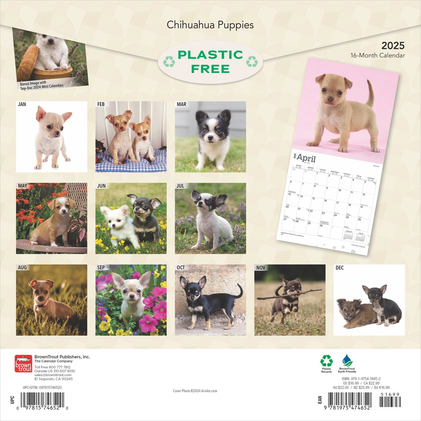 Chihuahua Puppies | 2025 12 x 24 Inch Monthly Square Wall Calendar | Plastic-Free | BrownTrout | Animals Small Dog Breeds