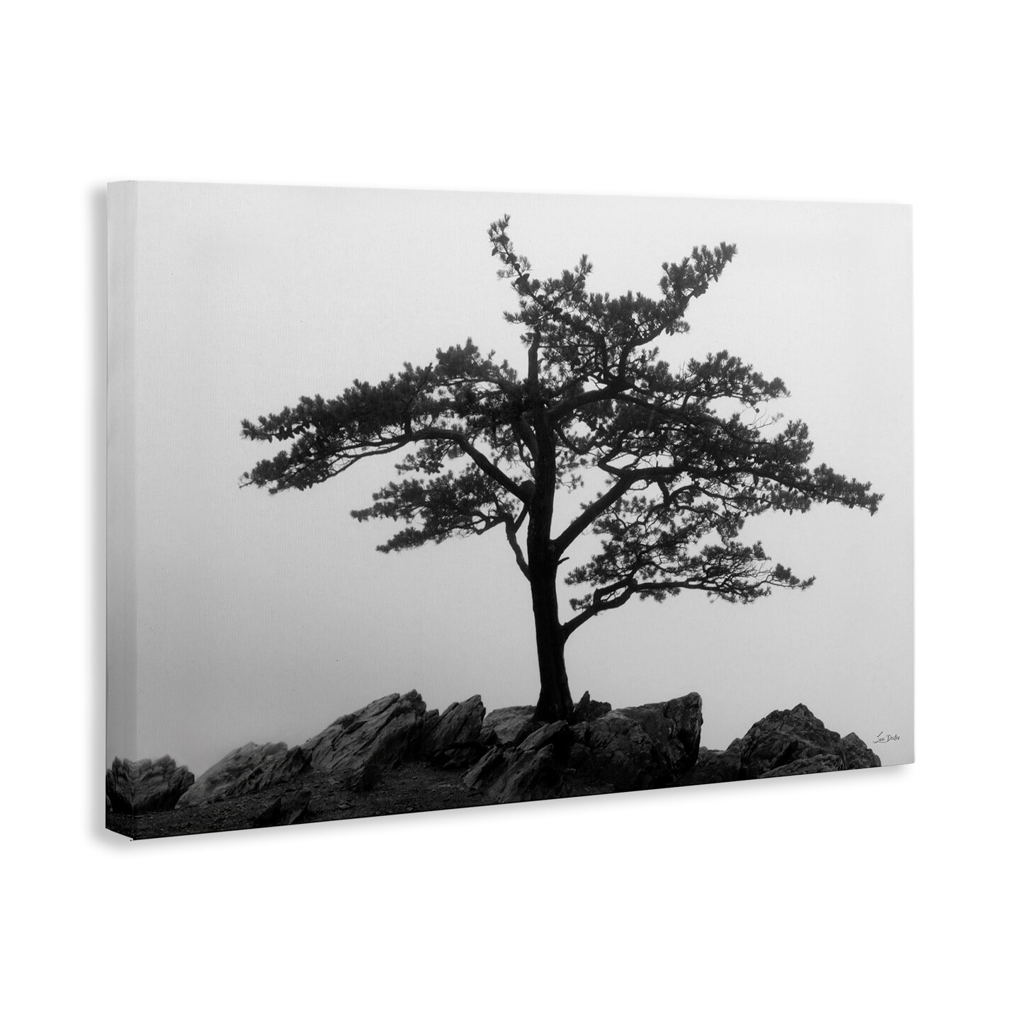 Stupell Industries Lone Tree on Rocks Canvas Wall Art Design by Lori Deiter