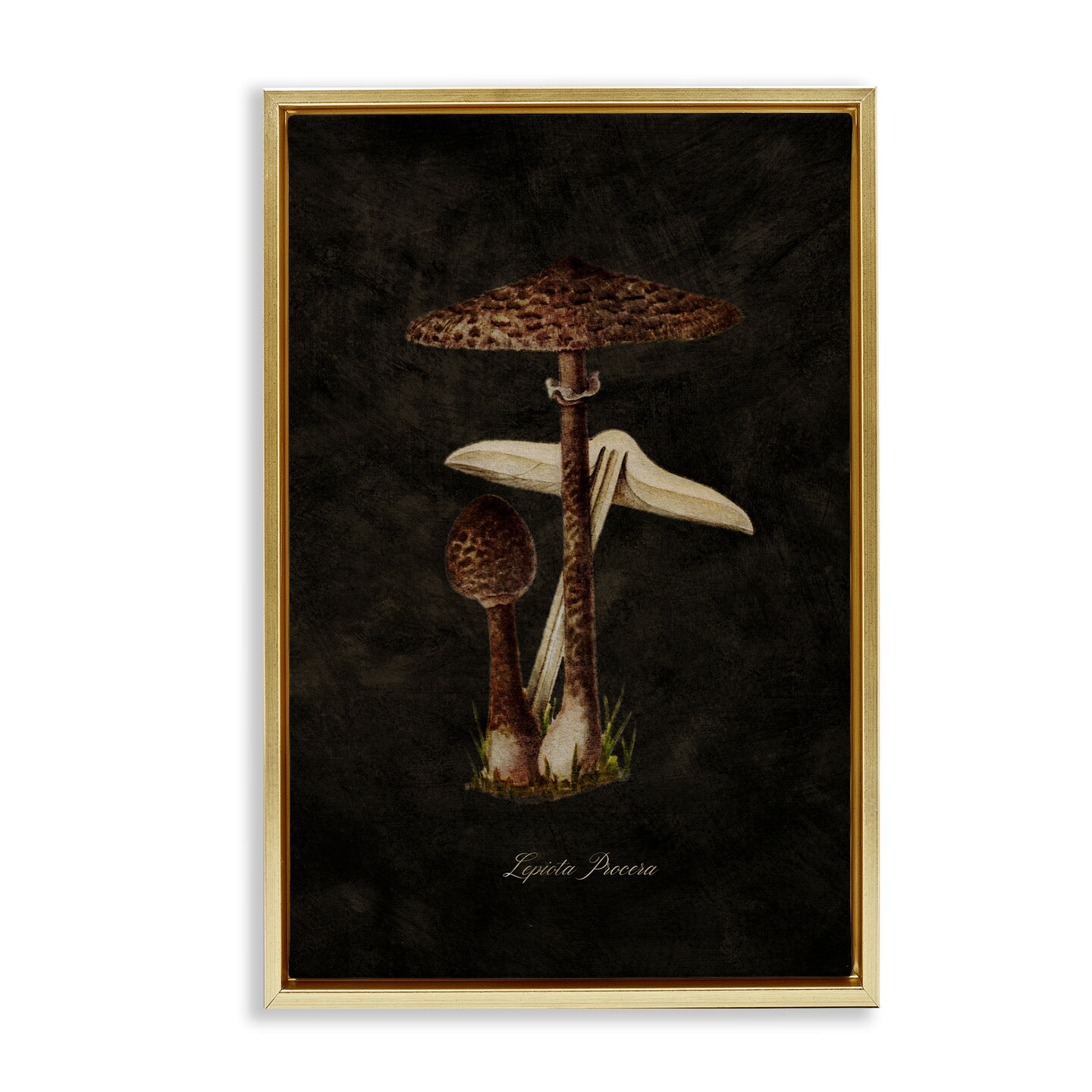 Stupell Industries Dark Woodland Mushroom Framed Floater Canvas Wall Art Design by Tina Higgins Designs, Inc.