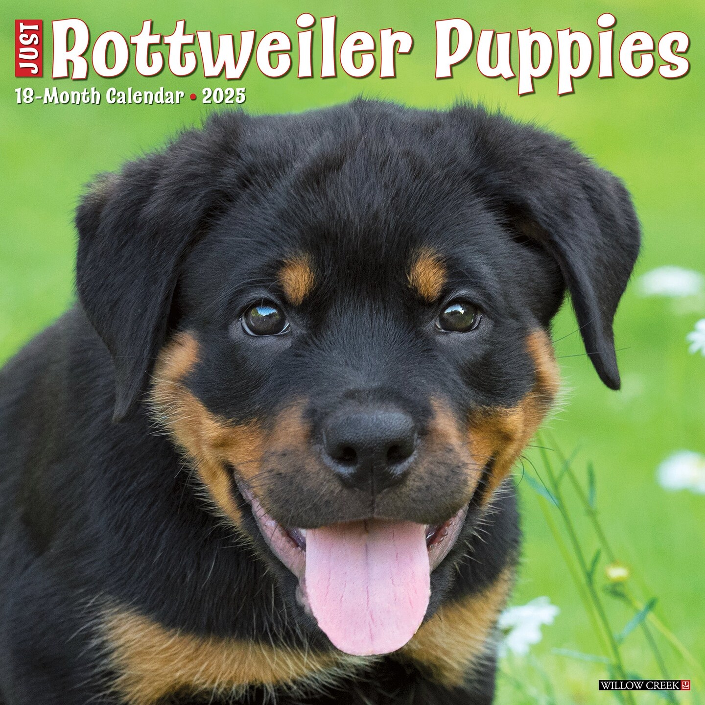 Rottweiler Puppies 2025 Wall Calendar