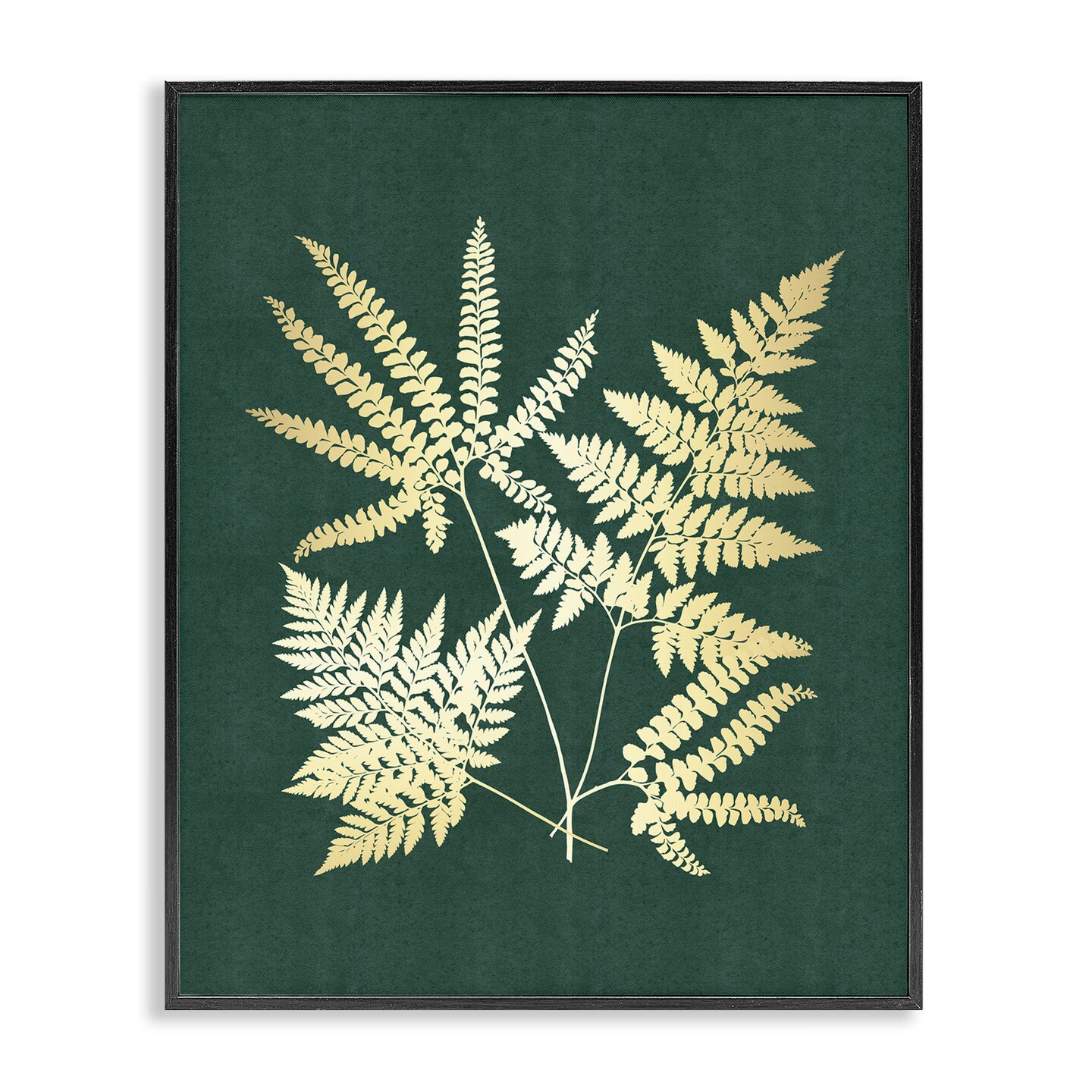 Stupell Industries Gilded Fern Leaves Framed Giclee Wall Art Design by JJ Design House LLC