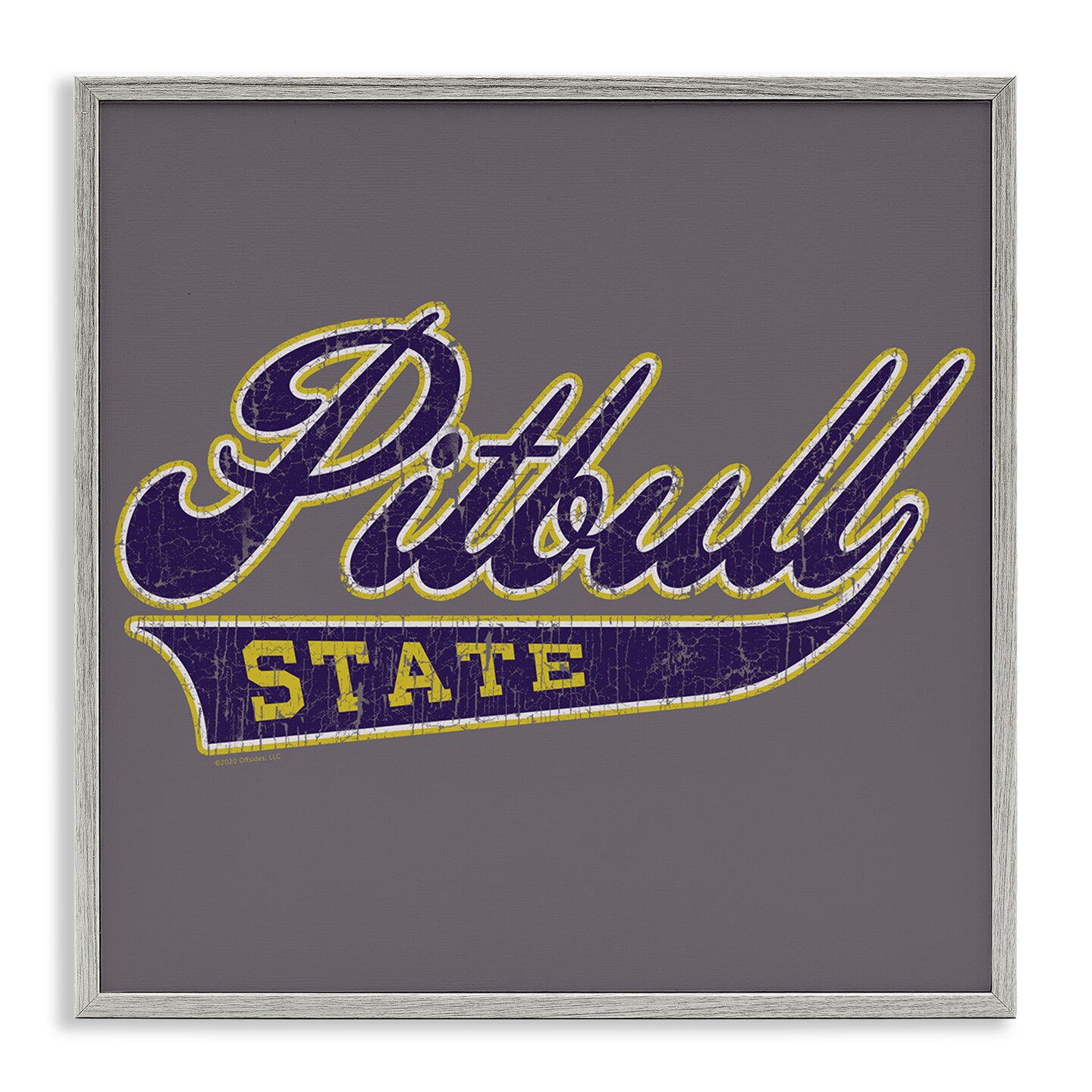 Stupell Industries Varsity Style Pitbull State Framed Giclee Wall Art Design by Spirit Animals/Life Is High
