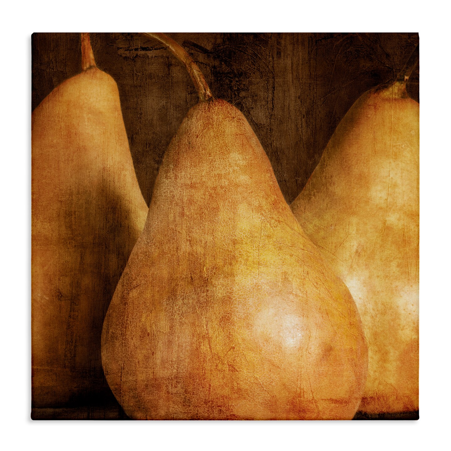 Stupell Industries Rustic Vintage Pears Canvas Wall Art Design by Caroline Kelly