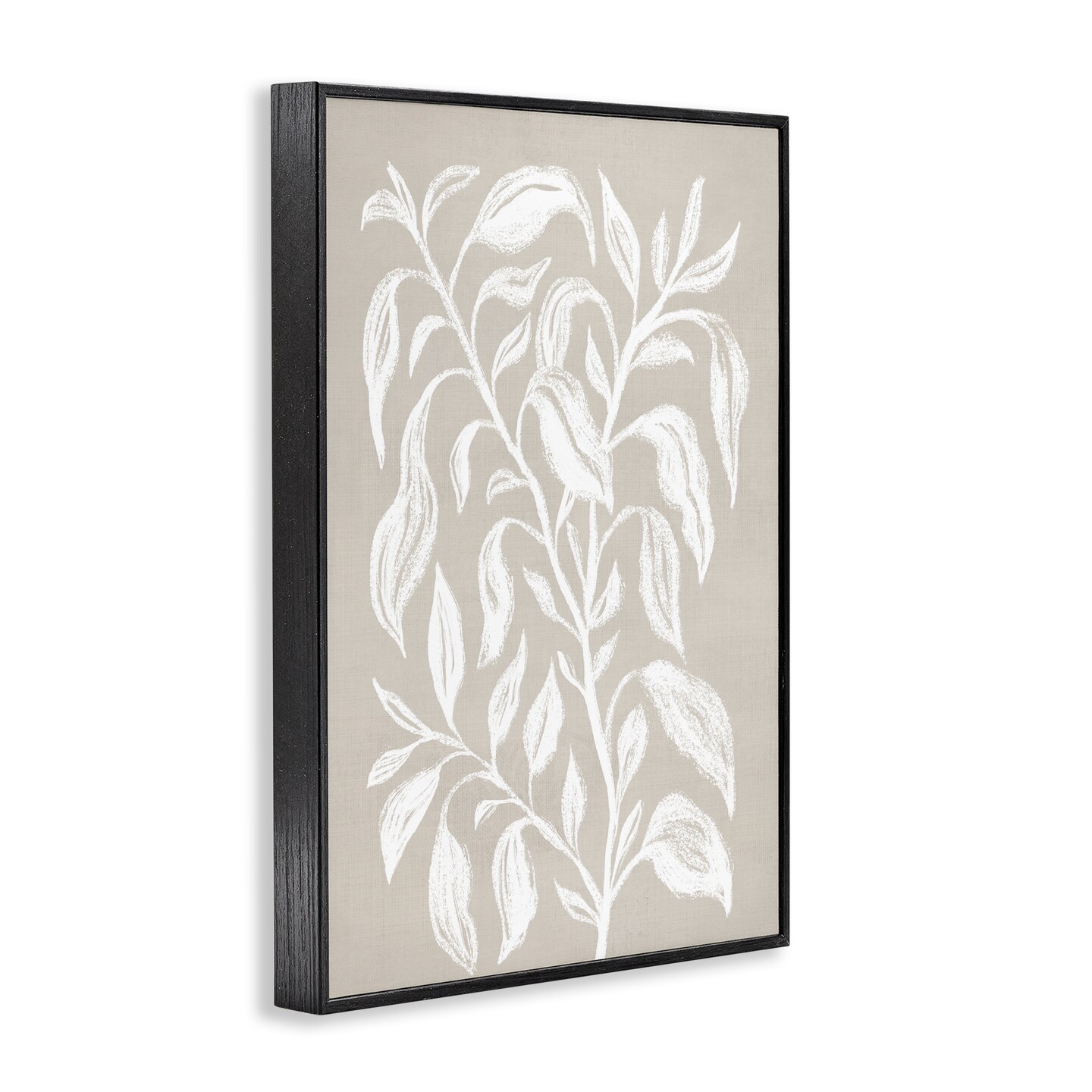 Stupell Industries Chalk Sketch Botanicals Framed Giclee Wall Art Design by Martina Pavlova