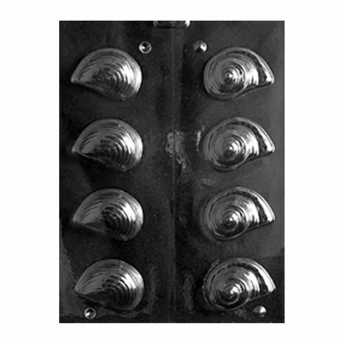 3D Shells Chocolate Mold Nautilus Shaped Candy Mold