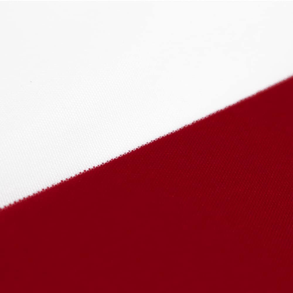 American Pleated Fan Flag Width Approx 90cm - US Patriotic Half Fan Bunting Flag 4 PACK