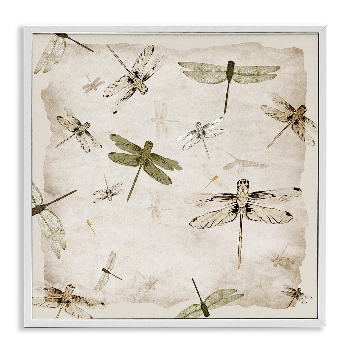 Stupell Industries Vintage Grace Dragonflies Framed Giclee, design by Jacob Q