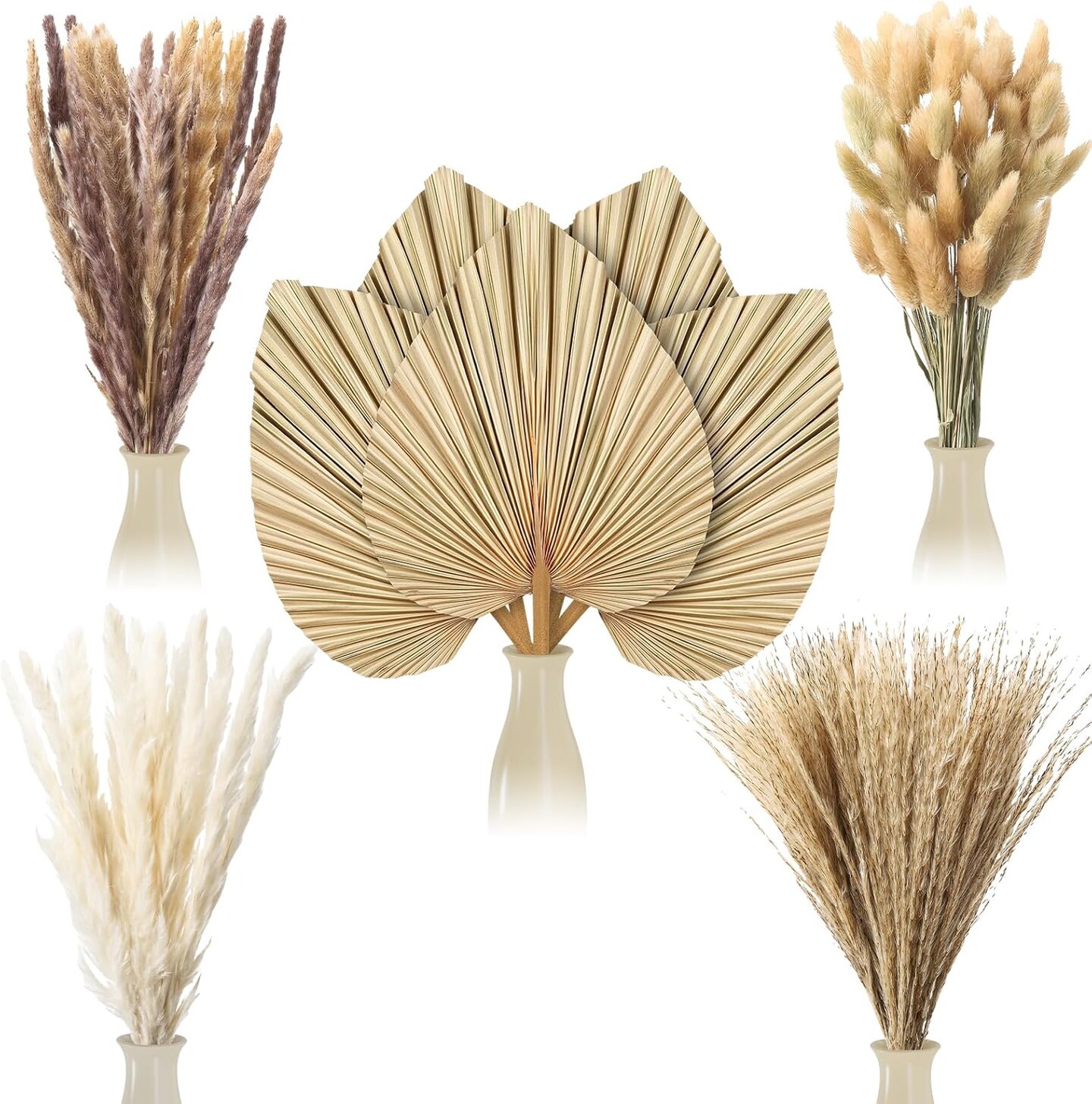 Large Dried Palm Spears Bunny Tails Pampas Reed Grass(Muliticolor)