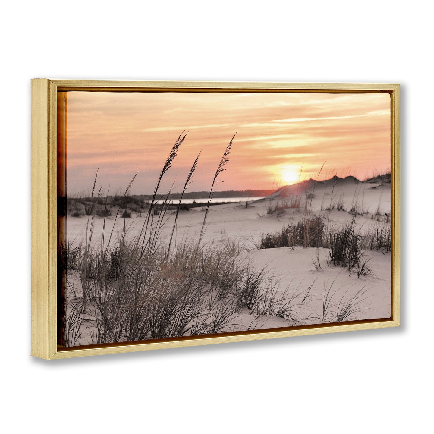 Stupell Industries Peachy Seashore Sunset Floating Frame, design by Mike Jones
