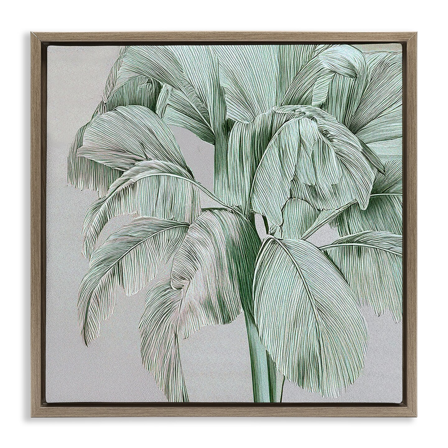 Stupell Industries Green Tropical Sway Floating Frame, design by Norm Stelfox