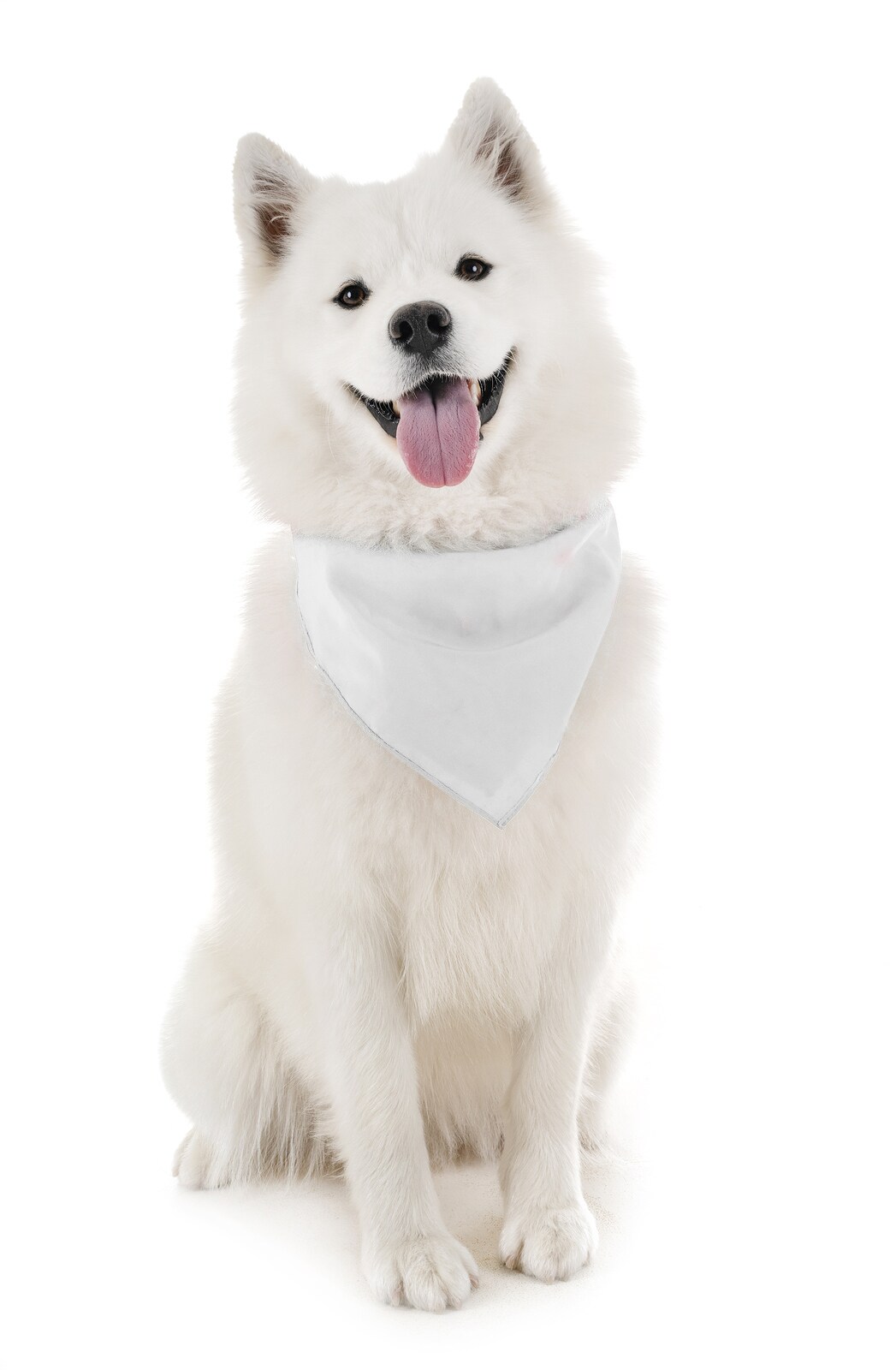 Dog Bandanas - 6 Pack - Scarf Triangle Bibs for Small, Medium and Large Puppies, Dogs and Cats