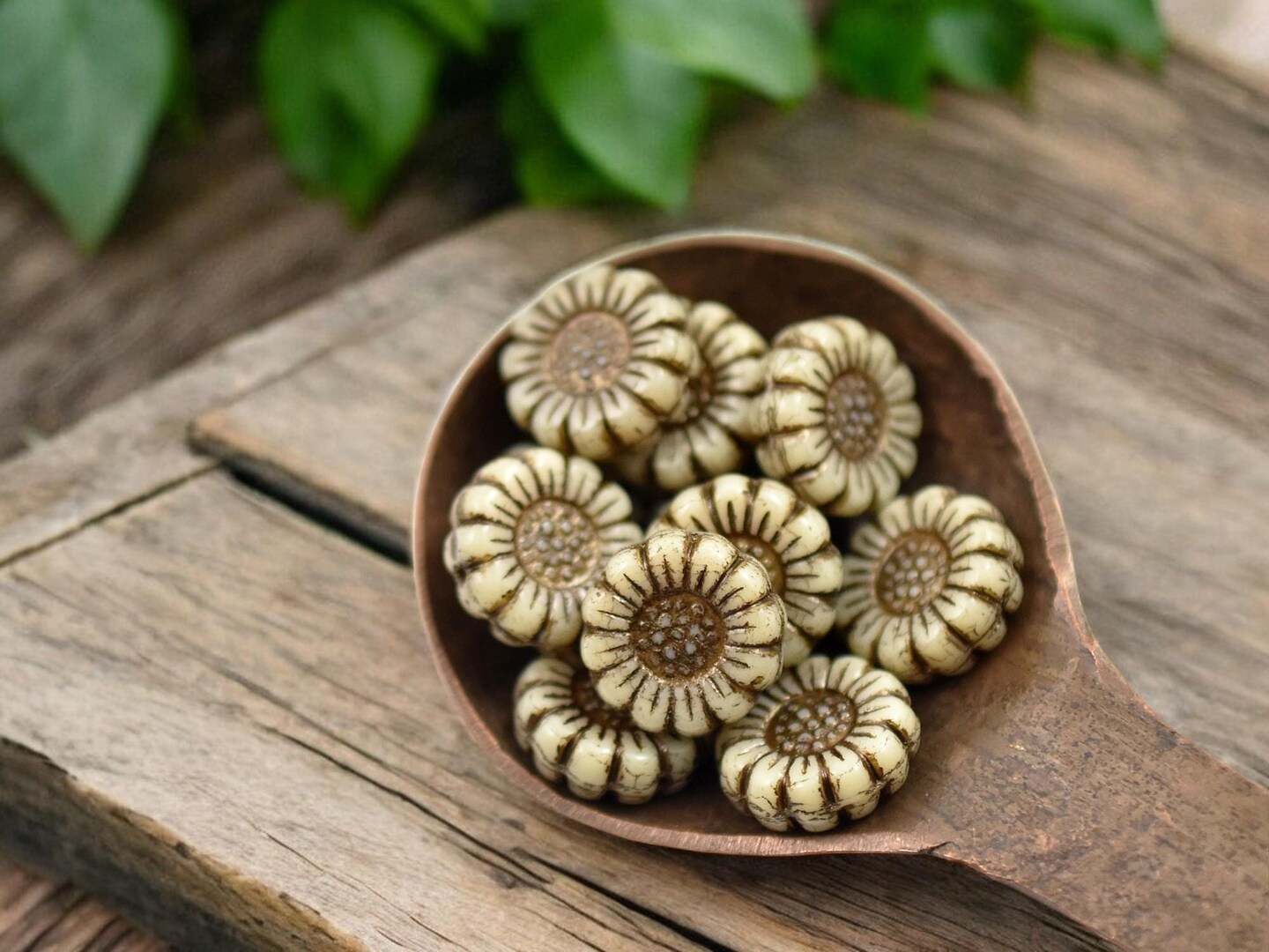 *12* 13mm Dark Bronze Washed Opaque Ivory Sunflower Coin Beads