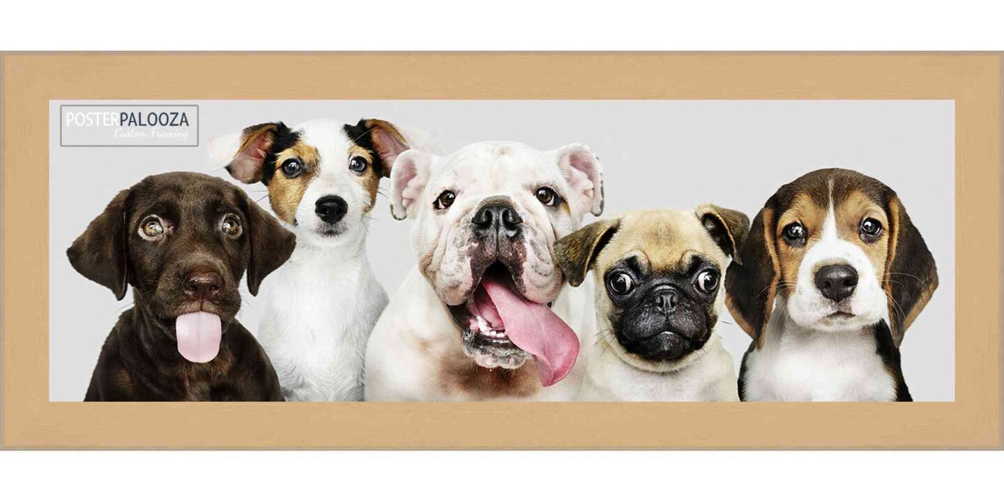 Panoramic Classic Modern Yellow Frame - UV Acrylic, Foam Board Backing, Hanging Hardware