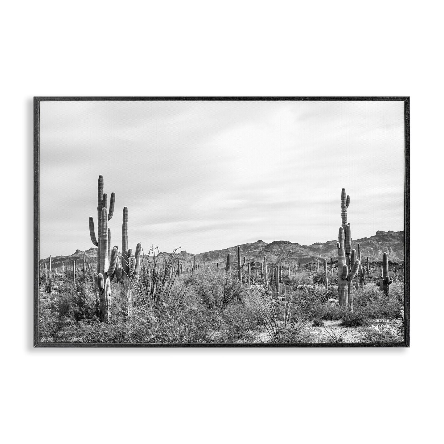Stupell Industries Sonoran Desert Wonderland Framed Giclee Wall Art Design by Nathan Larson