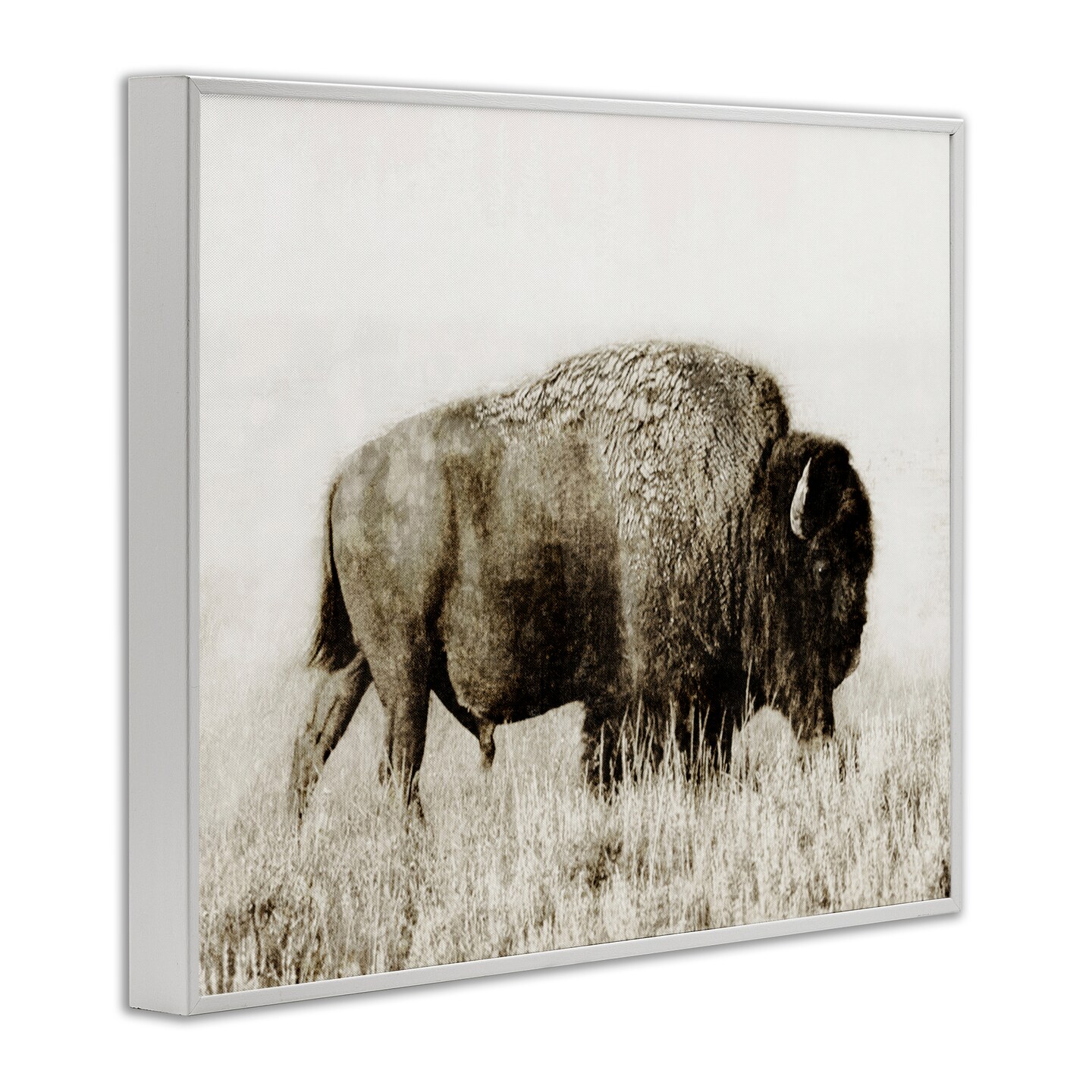 Stupell Industries Bison Grazing in Field Framed Giclee Wall Art Design by Dan Meneely