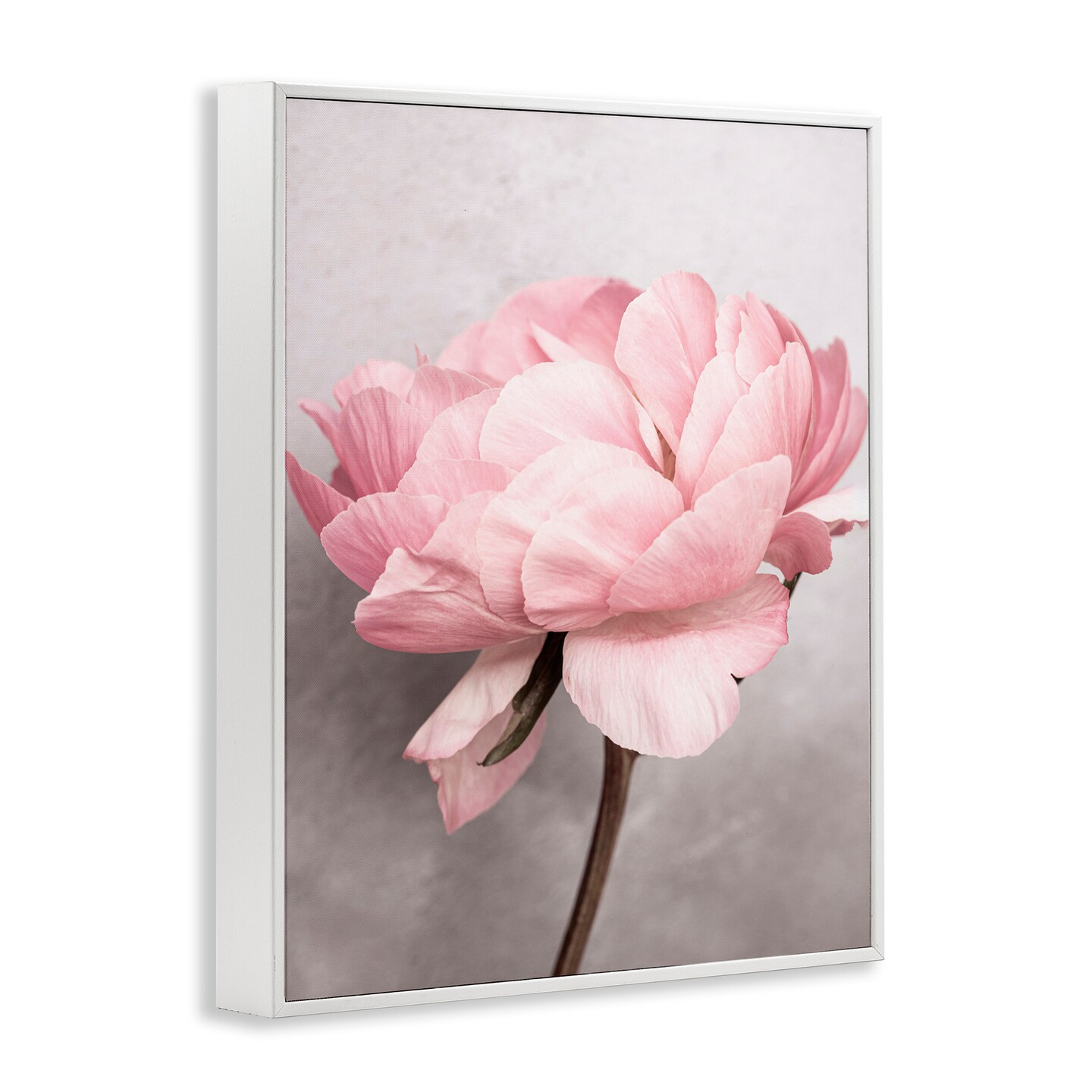 Stupell Industries Blooming Vintage Peony Framed Giclee Wall Art Design by Sisi and Seb