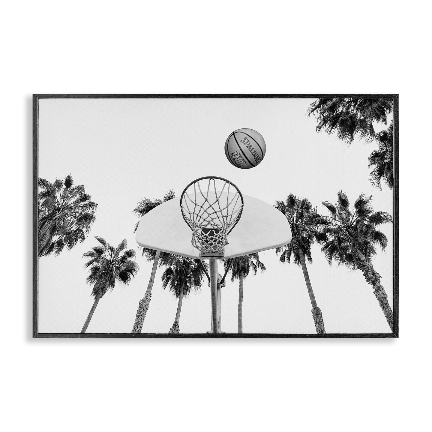 Stupell Industries Basketball Hoop with Palms Framed Giclee Wall Art Design by Sisi and Seb