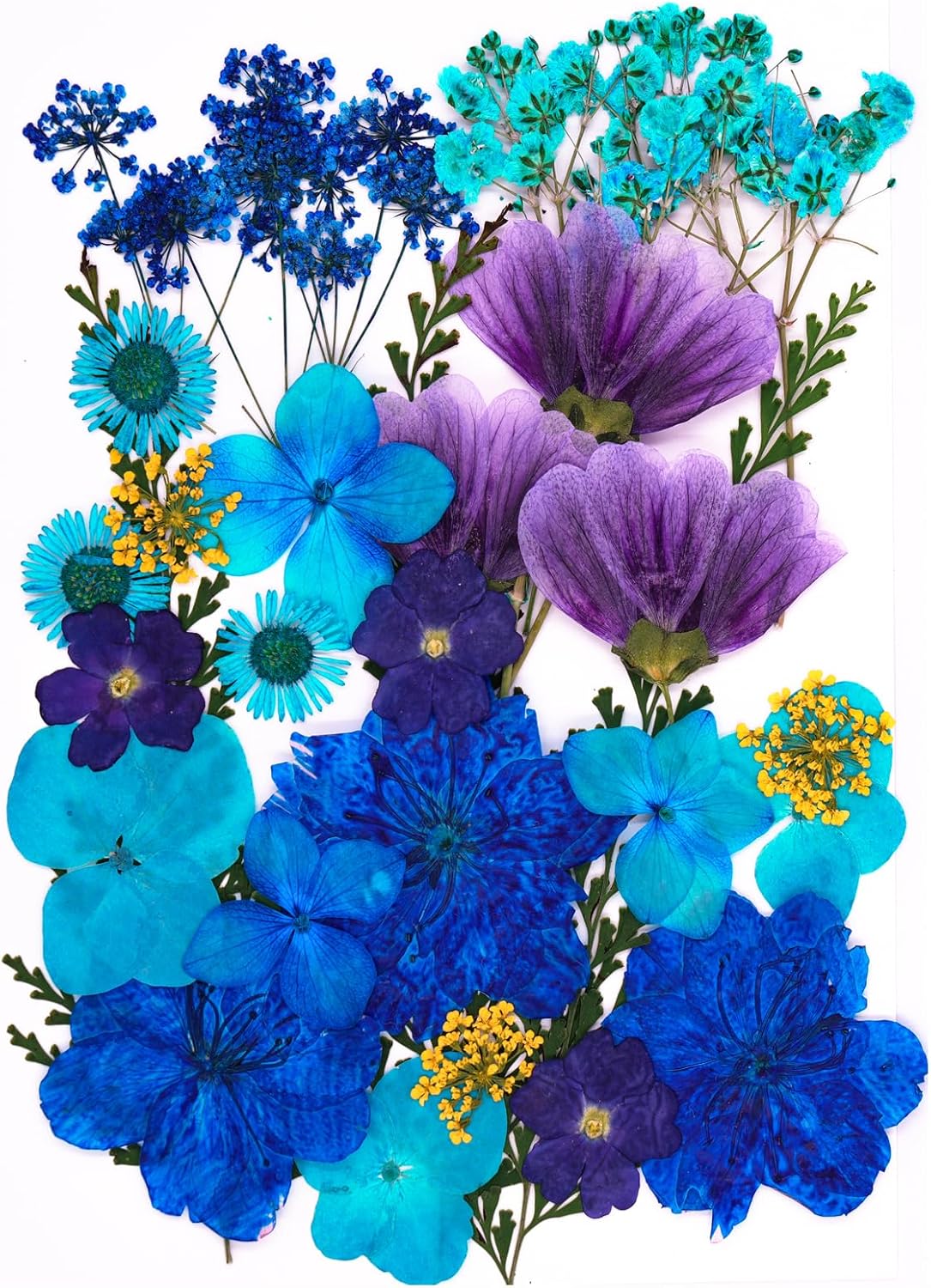 30-Piece Dried Pressed Flowers for Crafts – Ocean Blue Real Flowers & Leaves for Resin, Jewelry, Candle, Soap, Bookmarks, Phone Cases & DIY Projects (Ocean Blue)