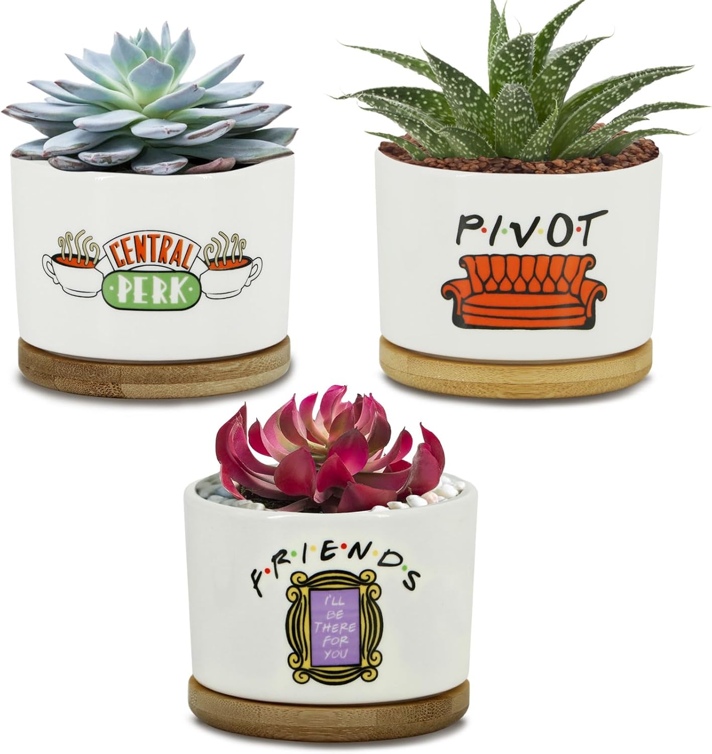 3PCS Funny Printed Ceramic Plant Pots – Succulent Planters with Drainage & Saucers, Gift for Women