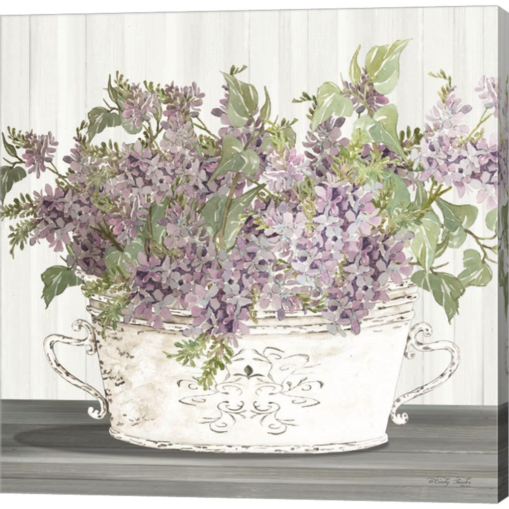 Lilac Galvanized Pot by Cindy Jacobs - 24x24 Canvas Art Print, Size ...