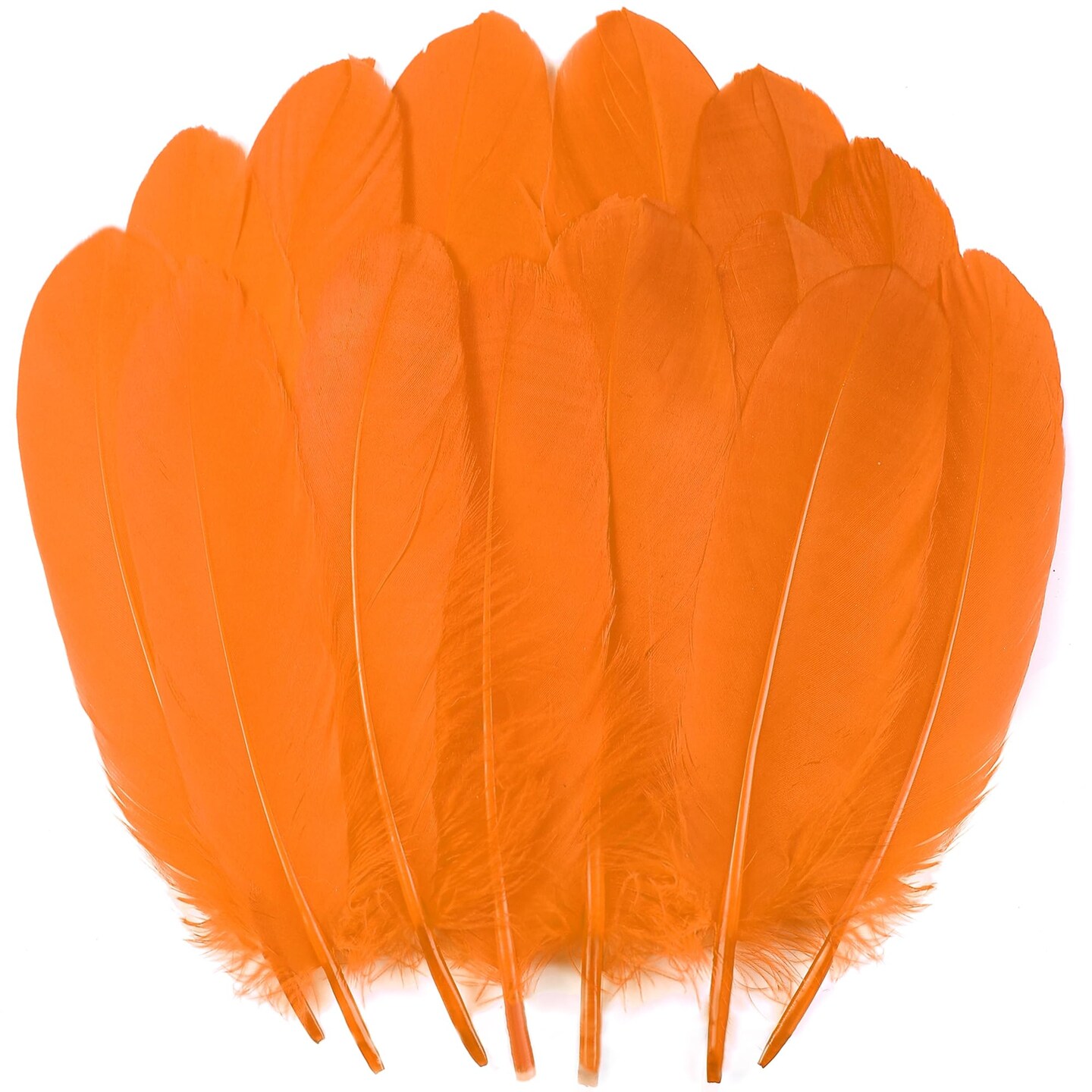 Ballinger Orange Craft Feathers Bulk - 120Pcs 6-8inch Large Feathers for DIY Halloween Decorations  Jewelry Cosplay and Clothing Accessories