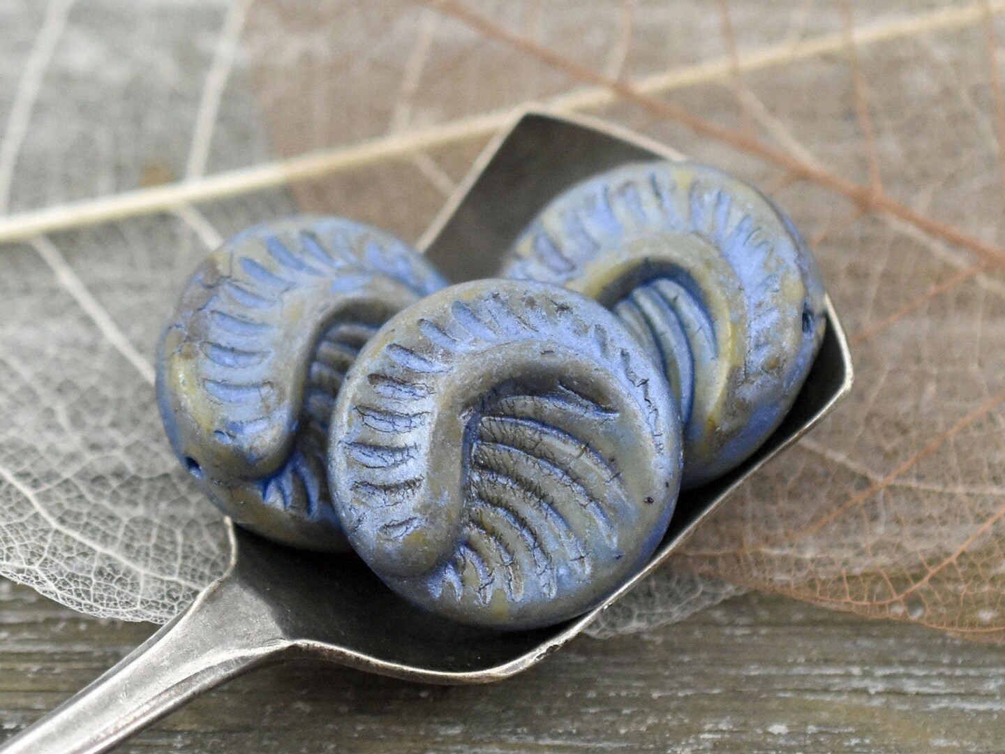 *6* 19mm Alabaster Celestial Blue Fossil Coin Beads