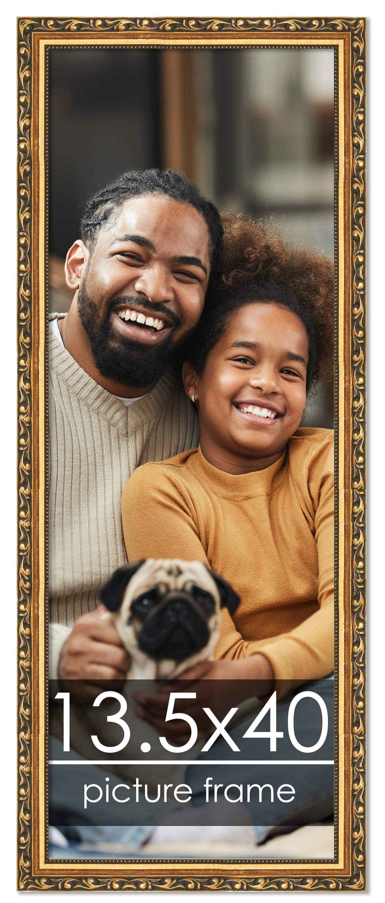 13.5x40 Museum-Quality Picture Frame with UV-Resistant Acrylic & Acid-Free Backing, Available in 4 Finishes - Gold, Silver, Bronze, and Black