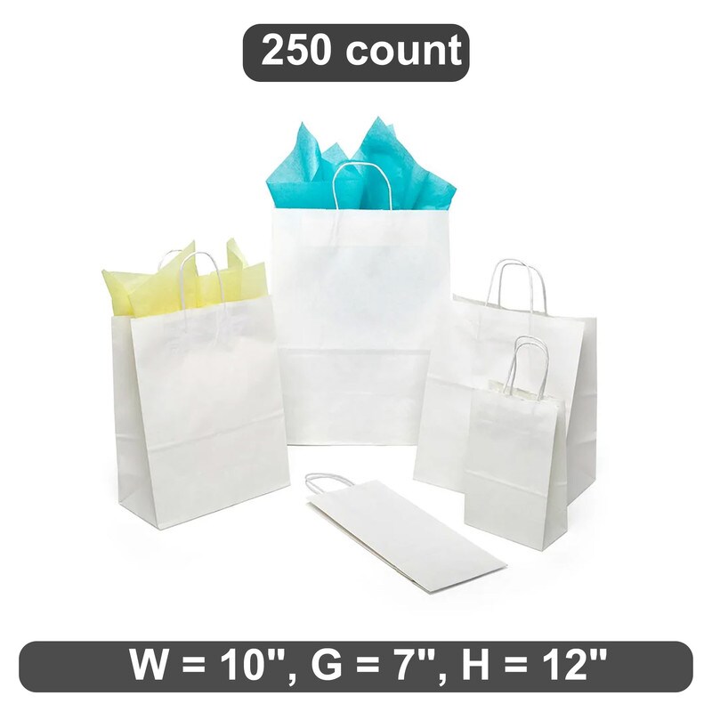 Spacious Plain White Kraft Shopping Bag 10&#x22; x 7&#x22; x 12&#x22;