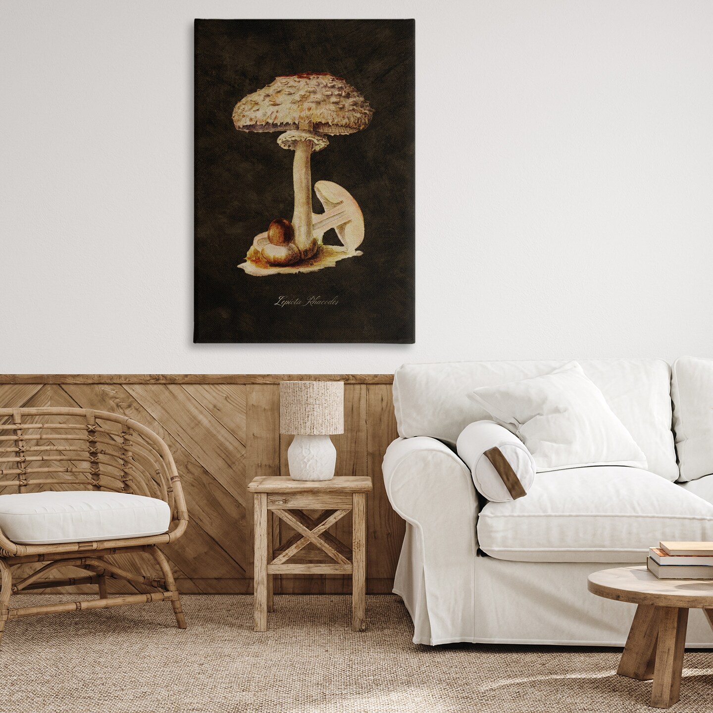 Stupell Industries Vintage Mushroom Study Canvas Wall Art Design by Tina Higgins Designs, Inc.