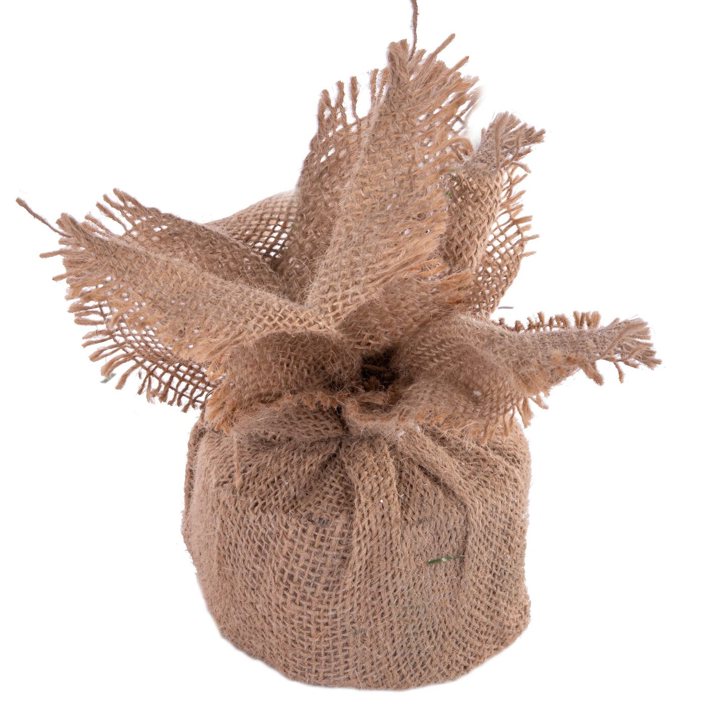 Vickerman 30&#x22; Anoka W/Burlap Base Dural LED 50MU - B160432LED