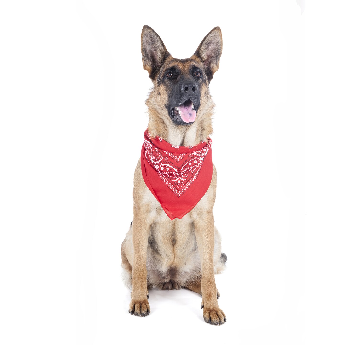 5 Pack Paisley Polyester Pets Dogs Bandana Triangle Shape - Oversized