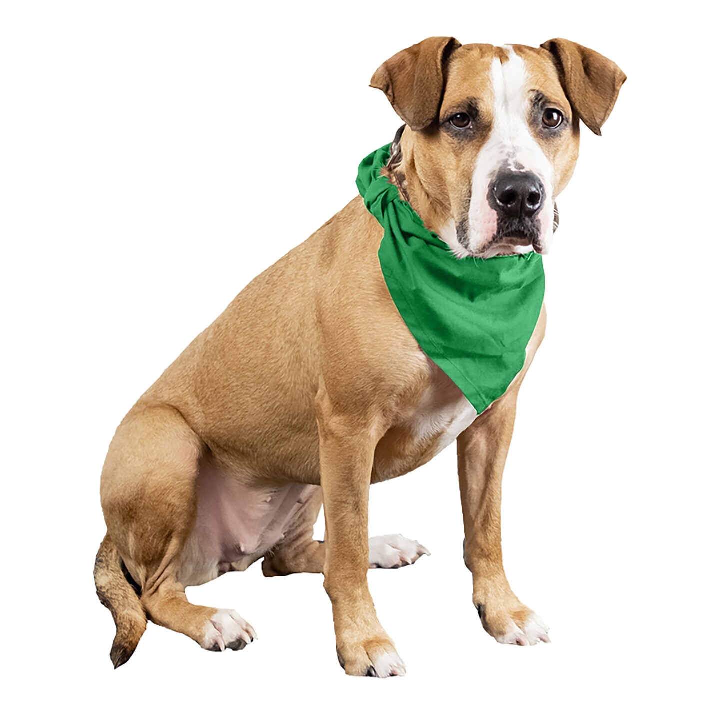 4 Pcs Plain Cotton Pets Dogs Bandana Triangle Shape - Large & Washable