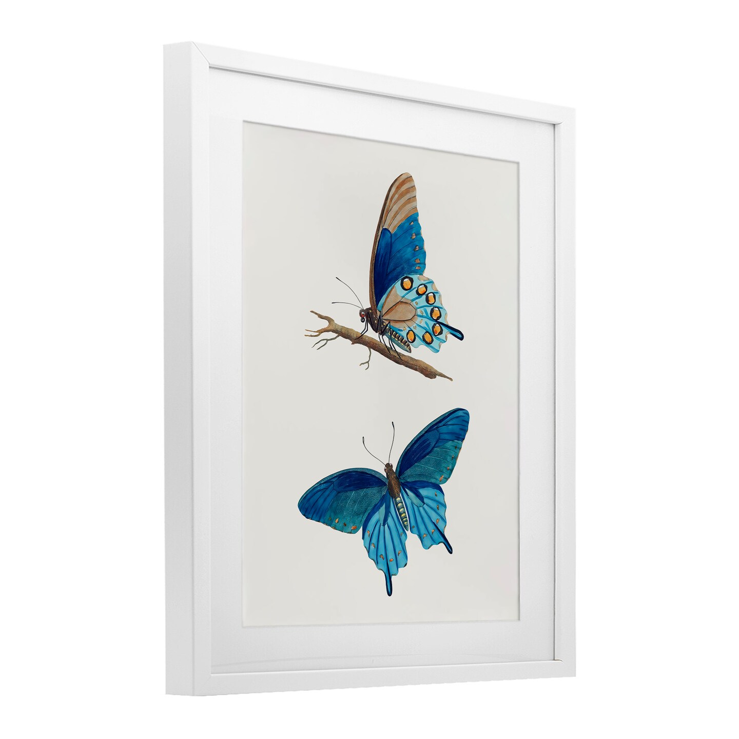 Stupell Industries Blue Butterflies Pair Framed Print Under Glass, design by Arlington Prints