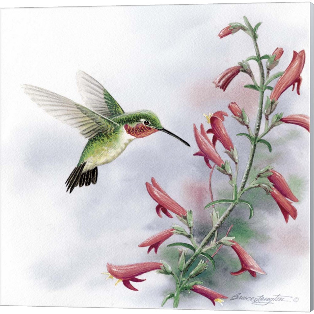 Harmony in Motion by Bruce Langton 14" x 14" Canvas Wall Art (Set of 2)