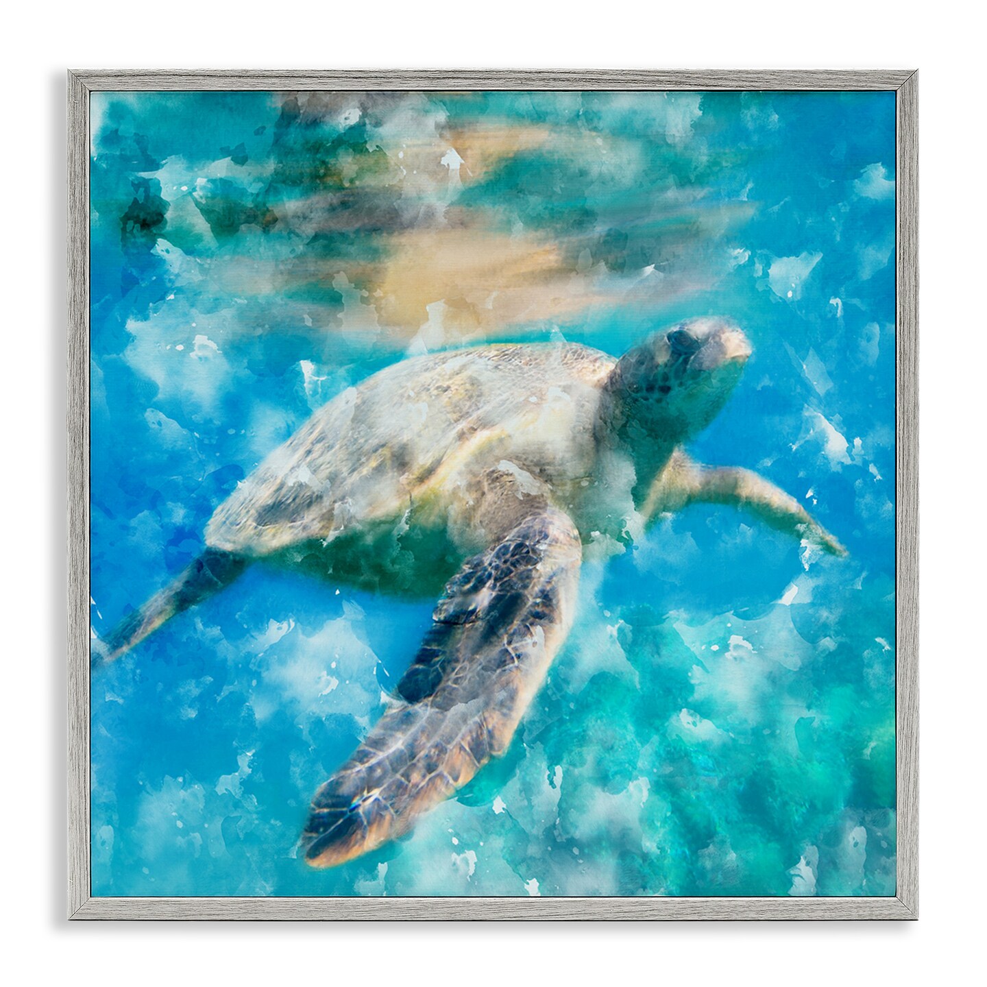 Stupell Industries Aquatic Swimming Sea Turtle Framed Giclee Art