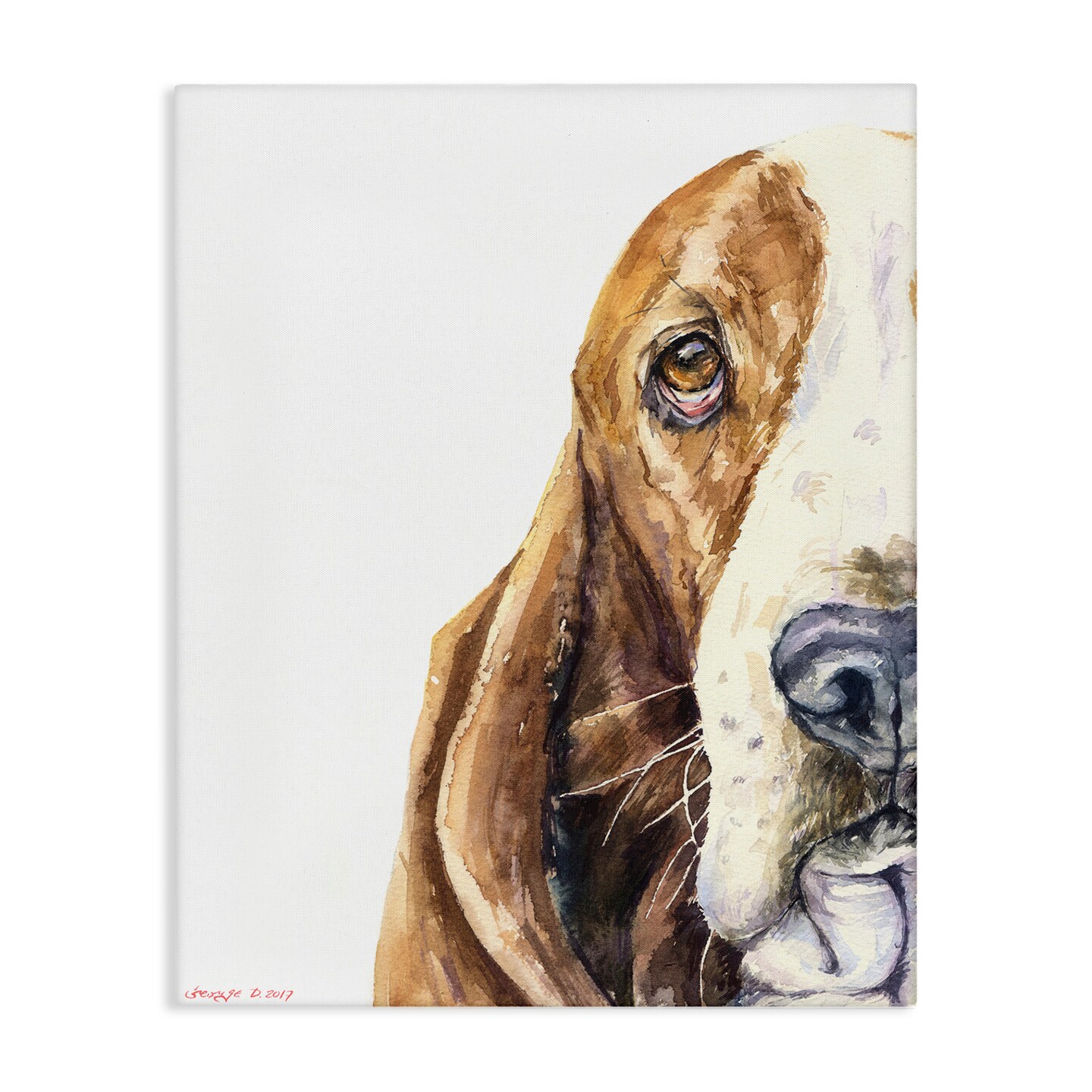 Stupell Industries Cute Basset Hound Pet Watercolor Canvas Wall Art