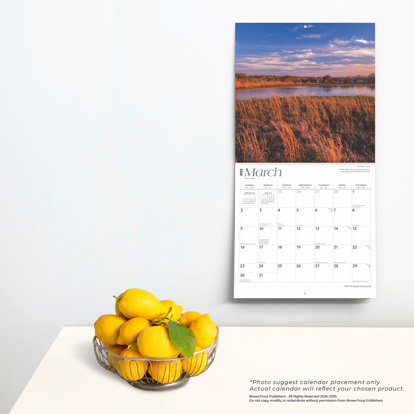 Maryland Wild &#x26; Scenic | 2025 12 x 24 Inch Monthly Square Wall Calendar | Plastic-Free | BrownTrout | USA United States of America Southeast State Nature