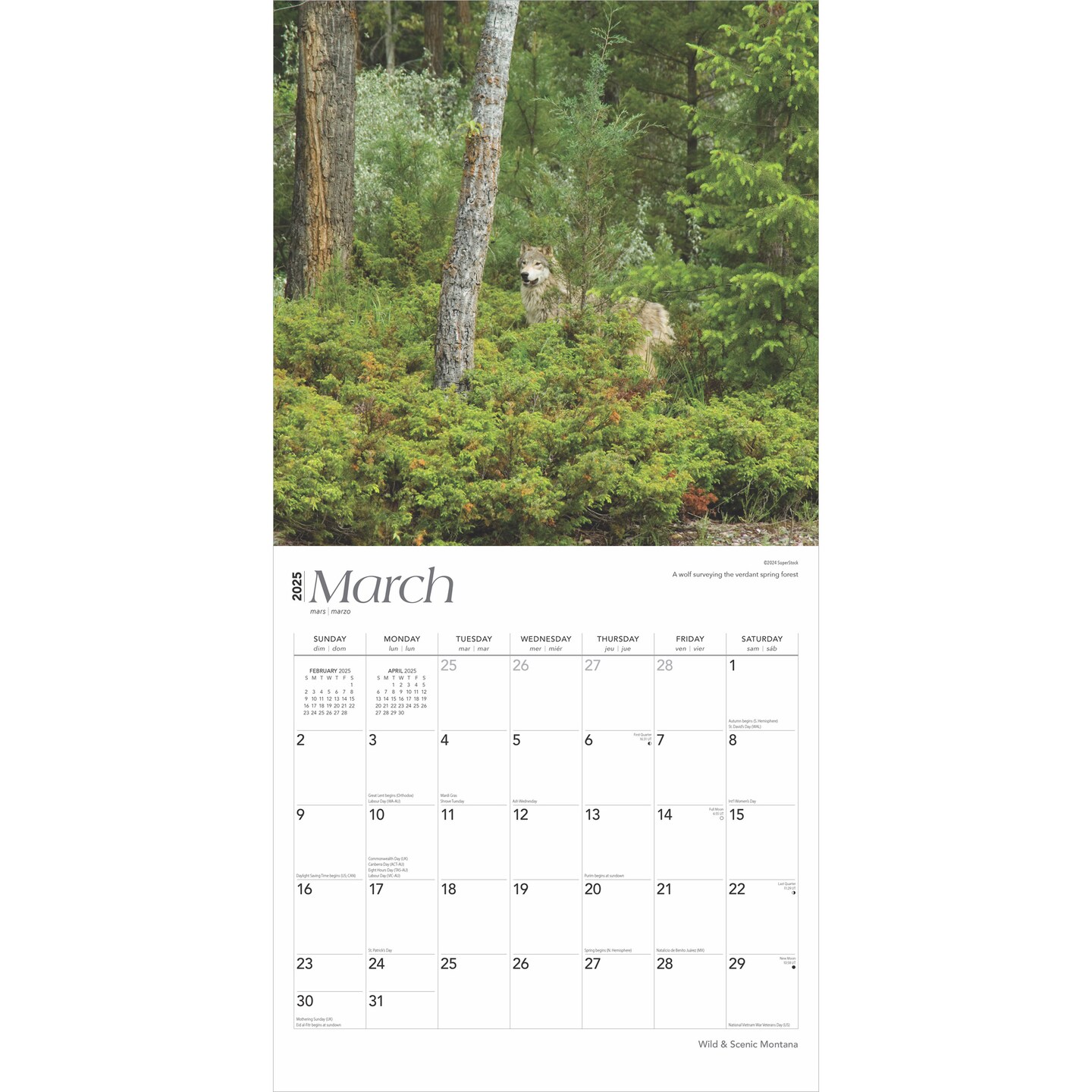 Montana Wild &#x26; Scenic | 2025 12 x 24 Inch Monthly Square Wall Calendar | Plastic-Free | BrownTrout | USA United States of America Rocky Mountains State Nature