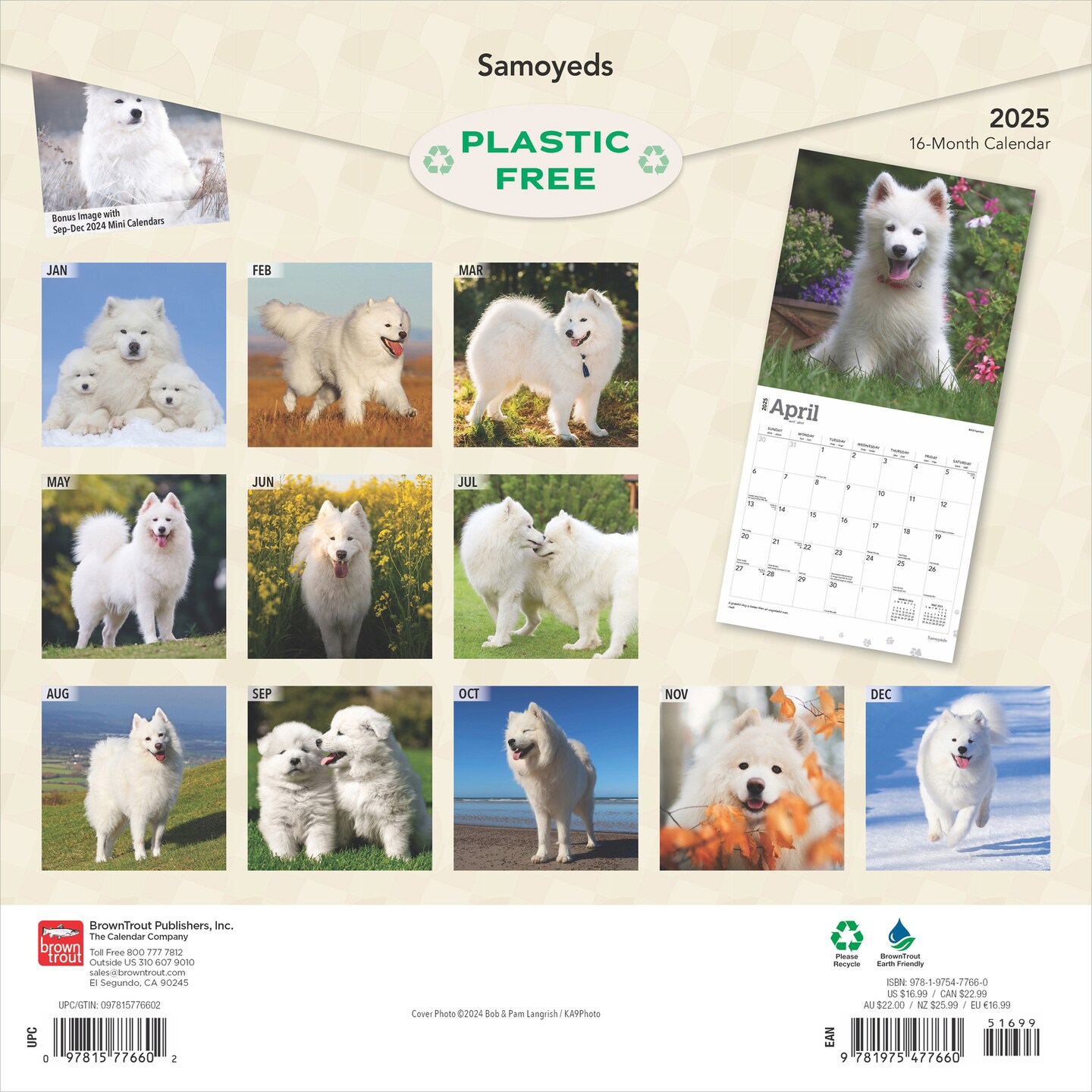 Samoyeds | 2025 12 x 24 Inch Monthly Square Wall Calendar | Plastic-Free | BrownTrout | Animals Dog Breeds