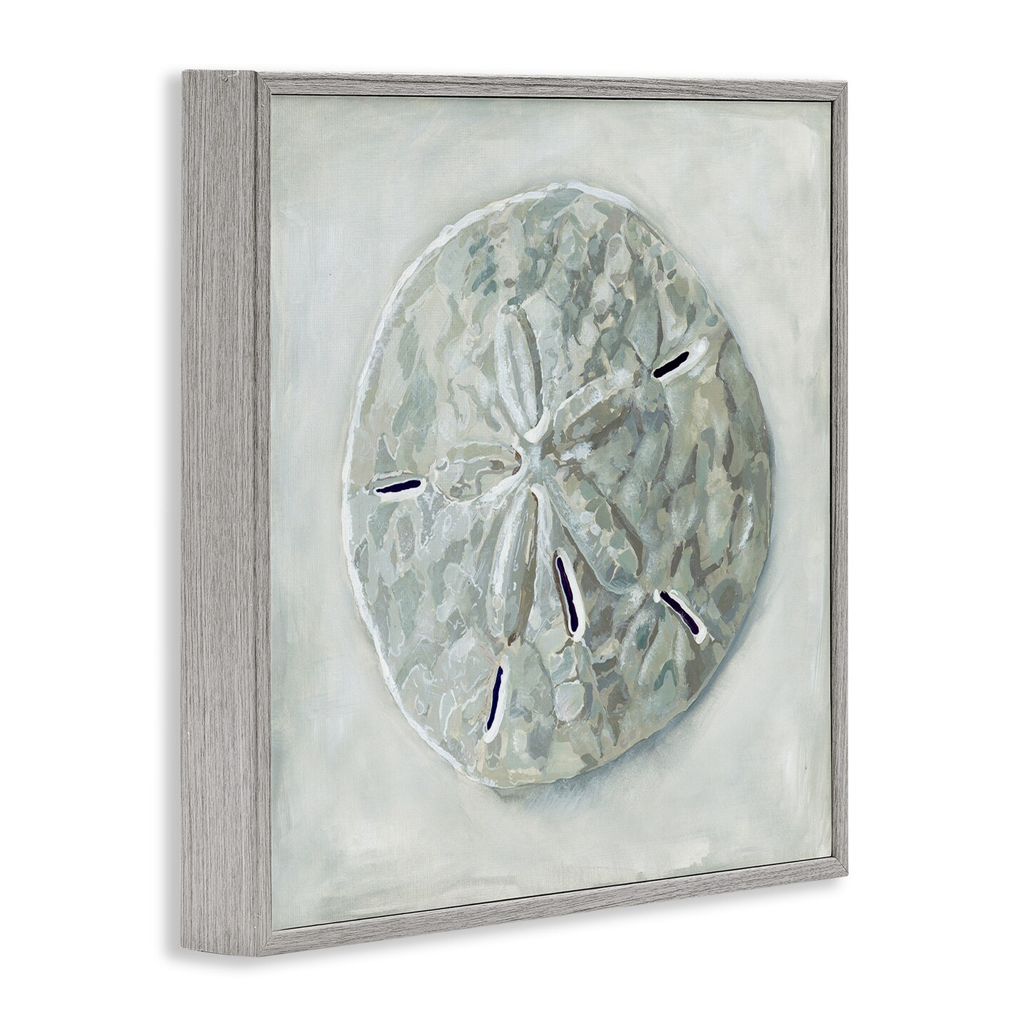 Stupell Industries Grey Sand Dollar Seashell Framed Giclee Art