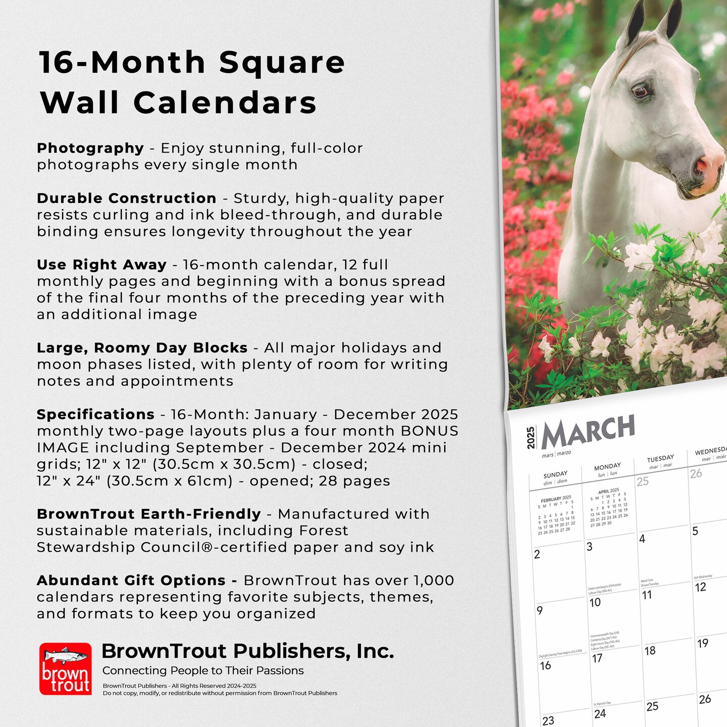 Arabians | 2025 12 x 24 Inch Monthly Square Wall Calendar | BrownTrout | Animals Horses