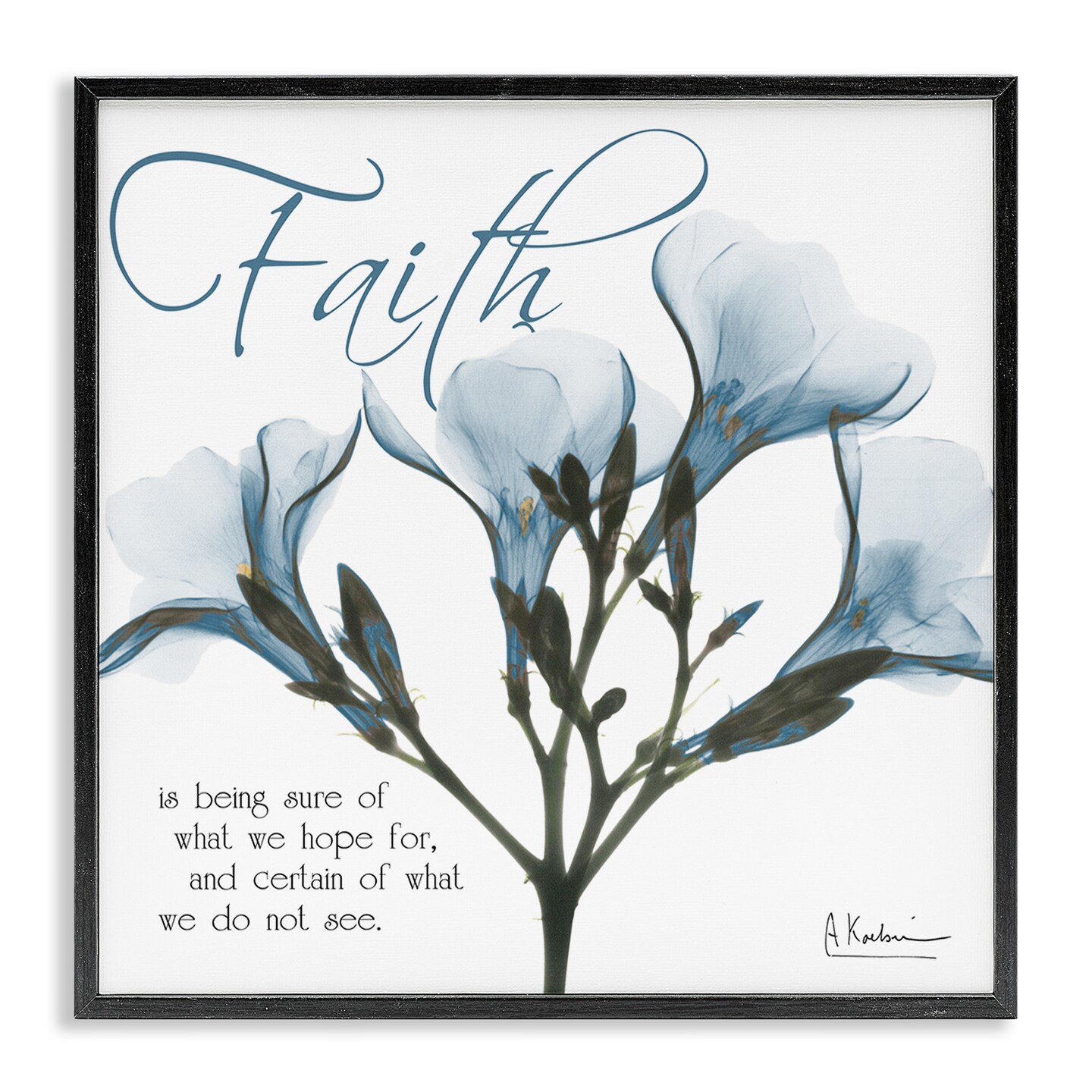 Stupell Industries Faith Phrase Flower Silhouette Framed Giclee Art