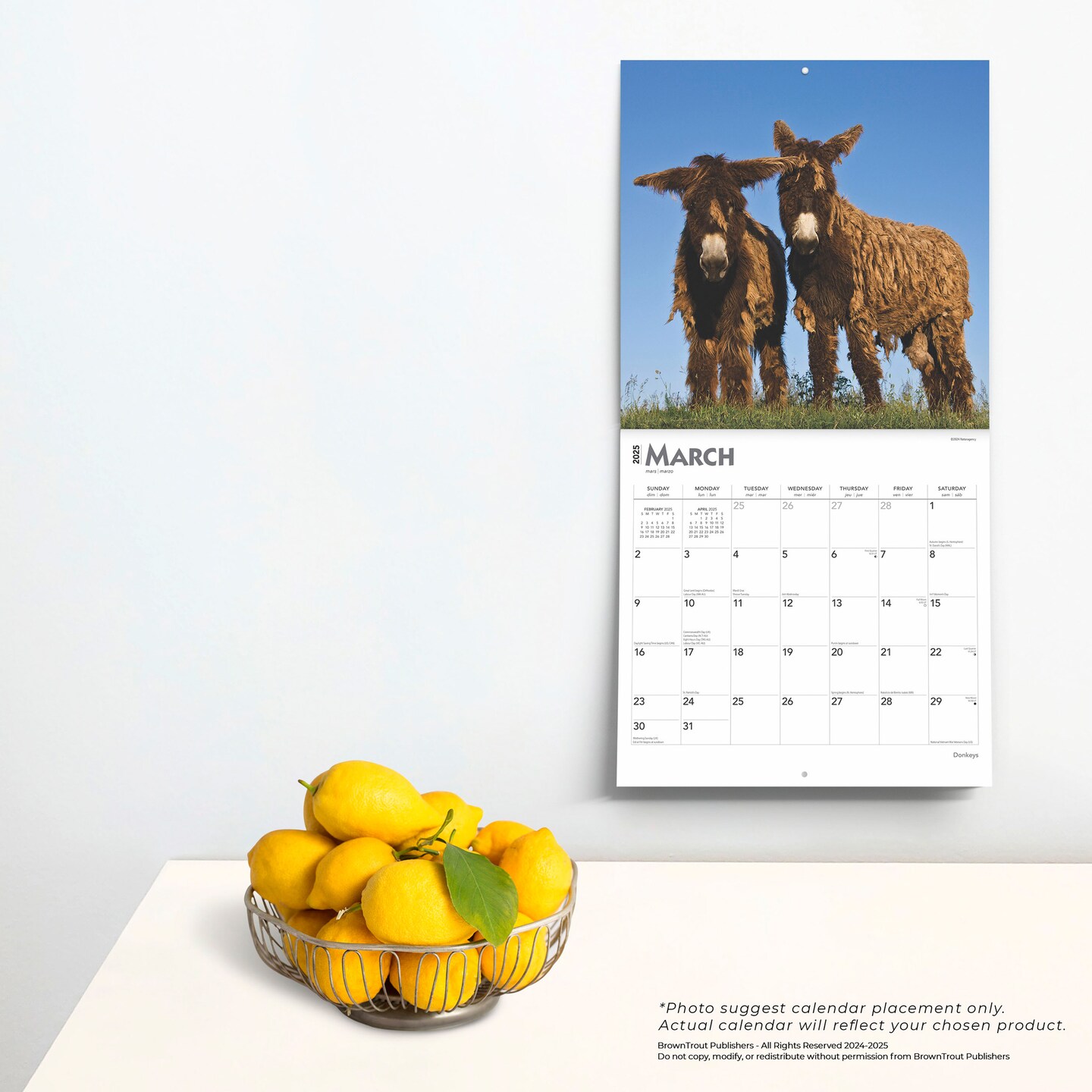 Donkeys | 2025 12 x 24 Inch Monthly Square Wall Calendar | Plastic-Free | BrownTrout | Domestic Animals
