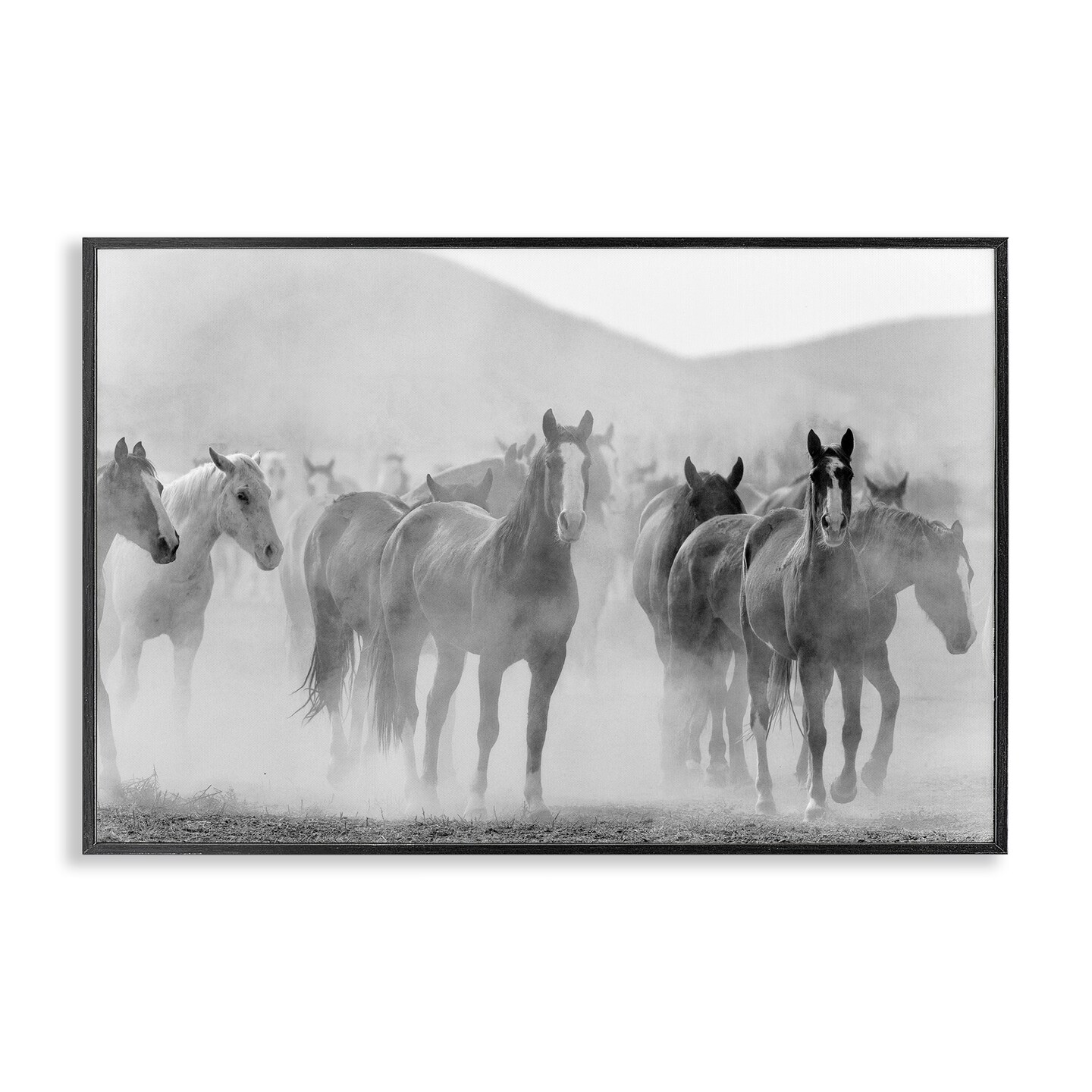 Stupell Industries Running Horse Herd Framed Giclee Wall Art Design by Kim Allen